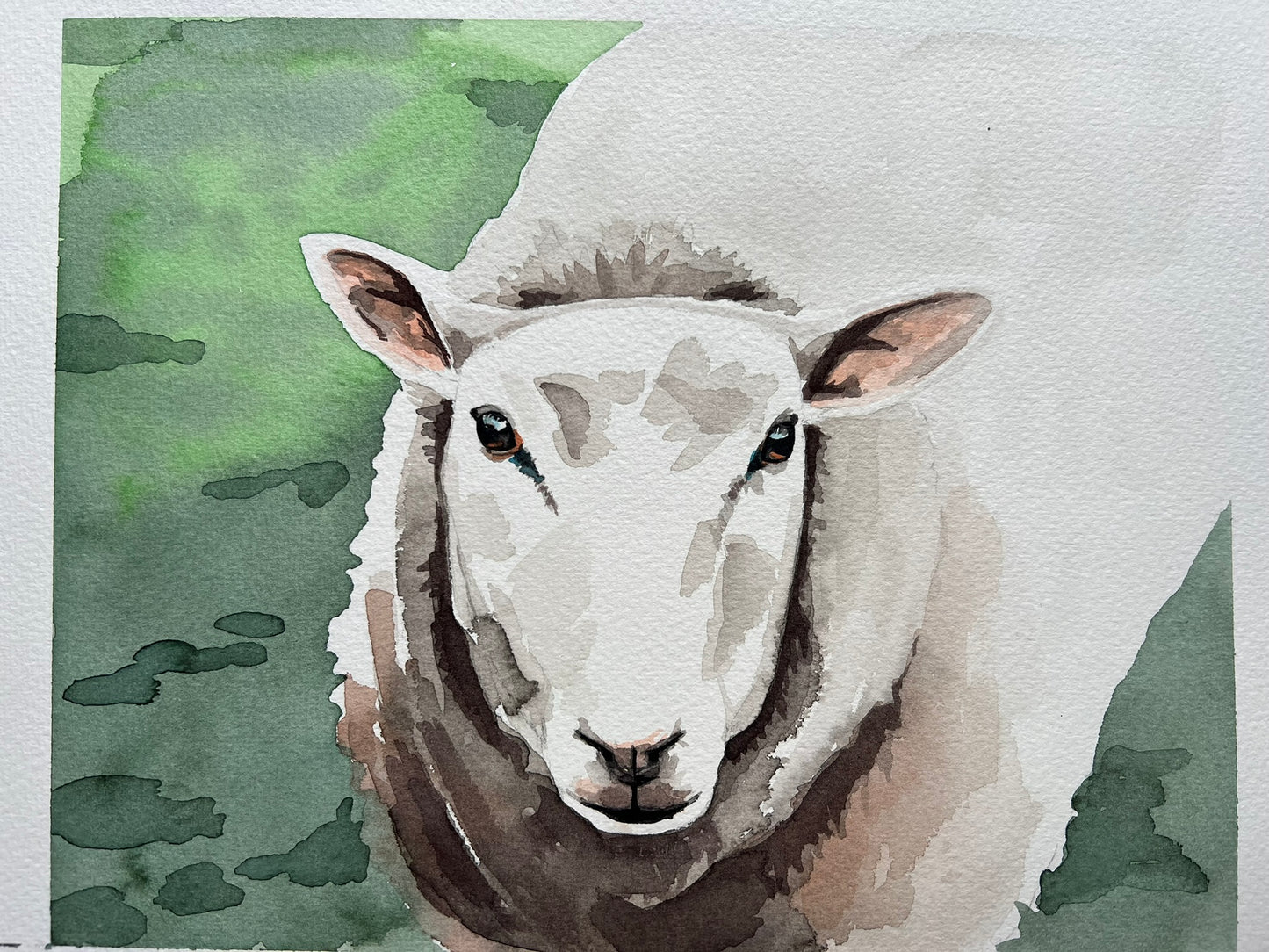 Sheep A4 watercolour painting