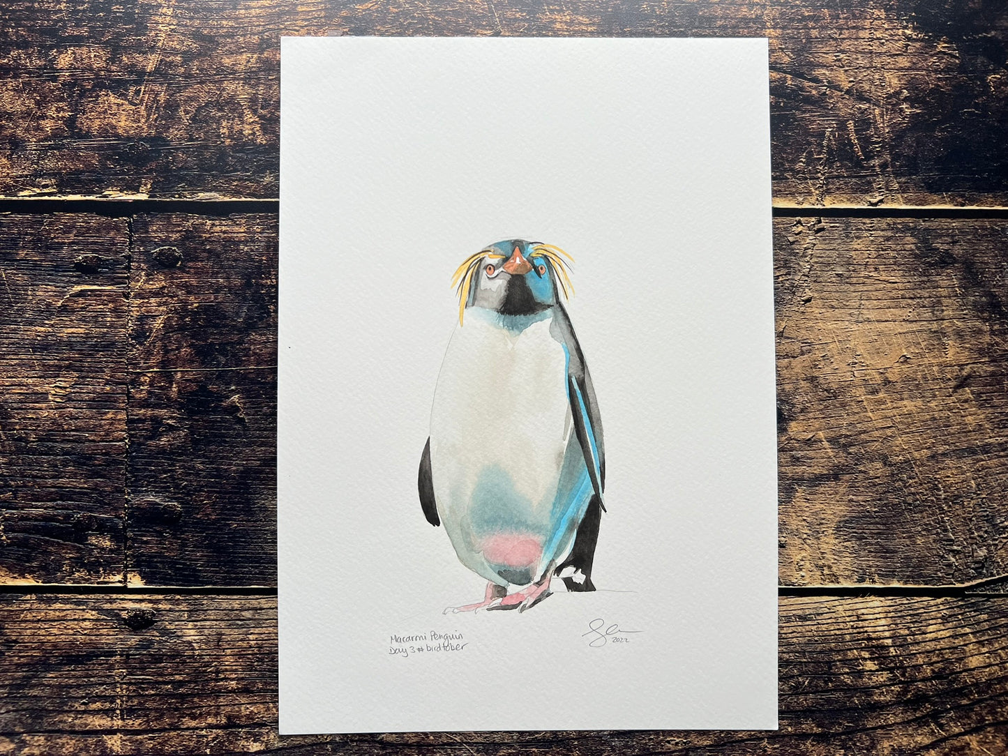 Macaroni penguin painting