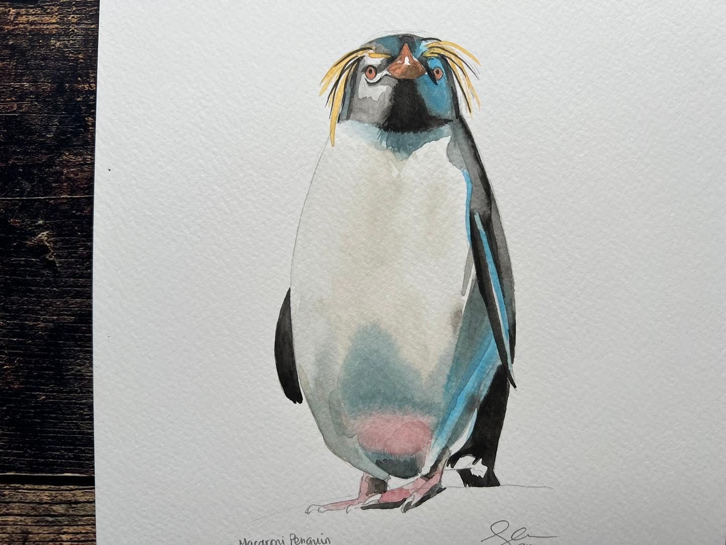 Macaroni penguin painting