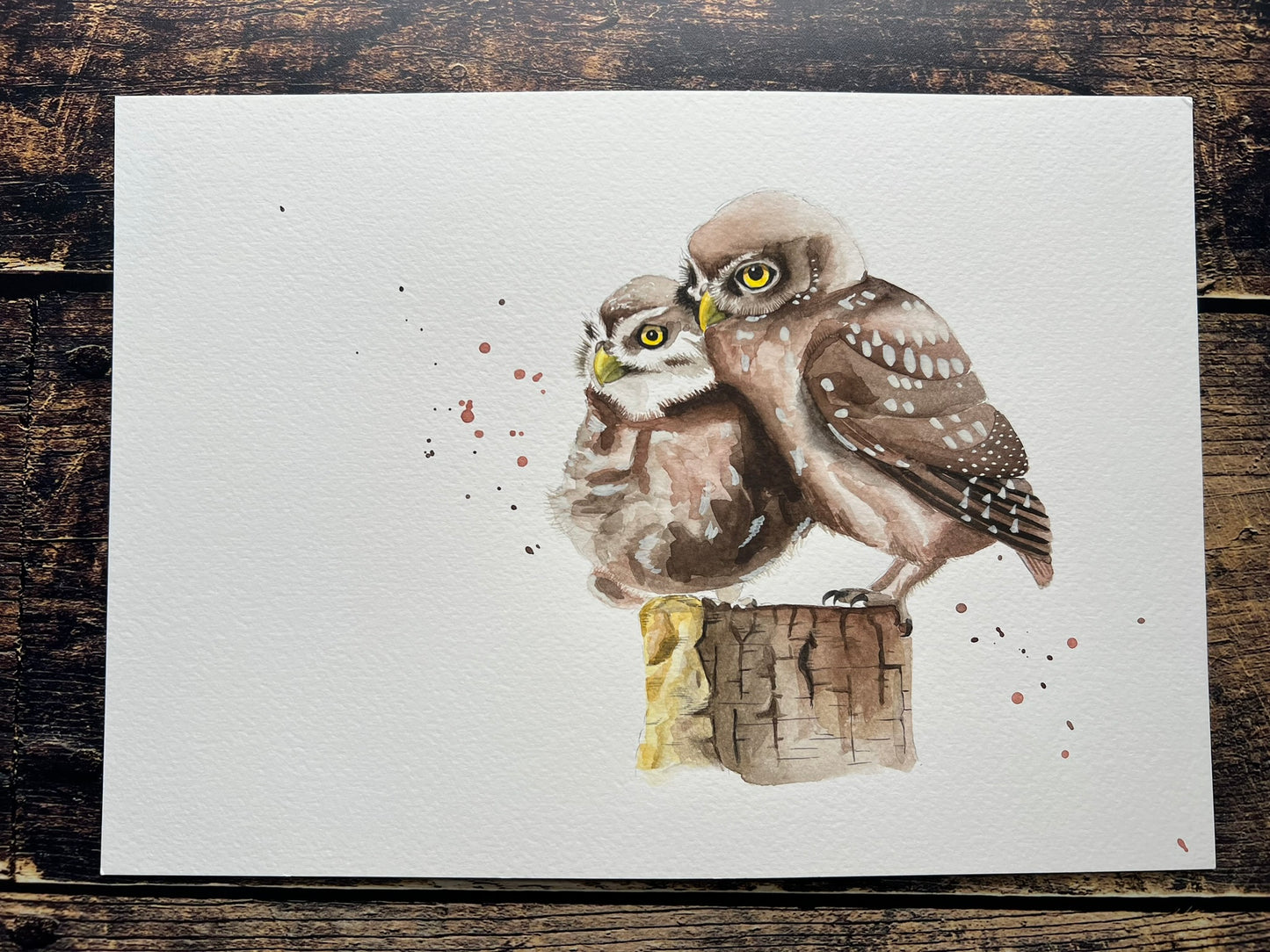 Little owl A4 painting