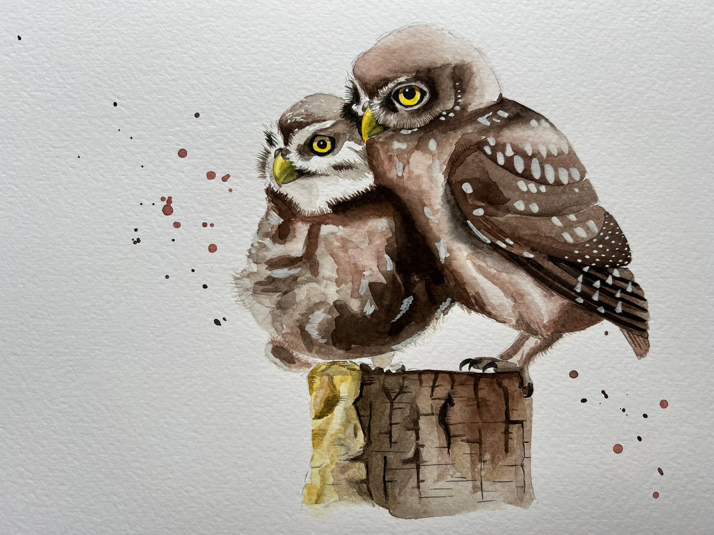 Little owl A4 painting