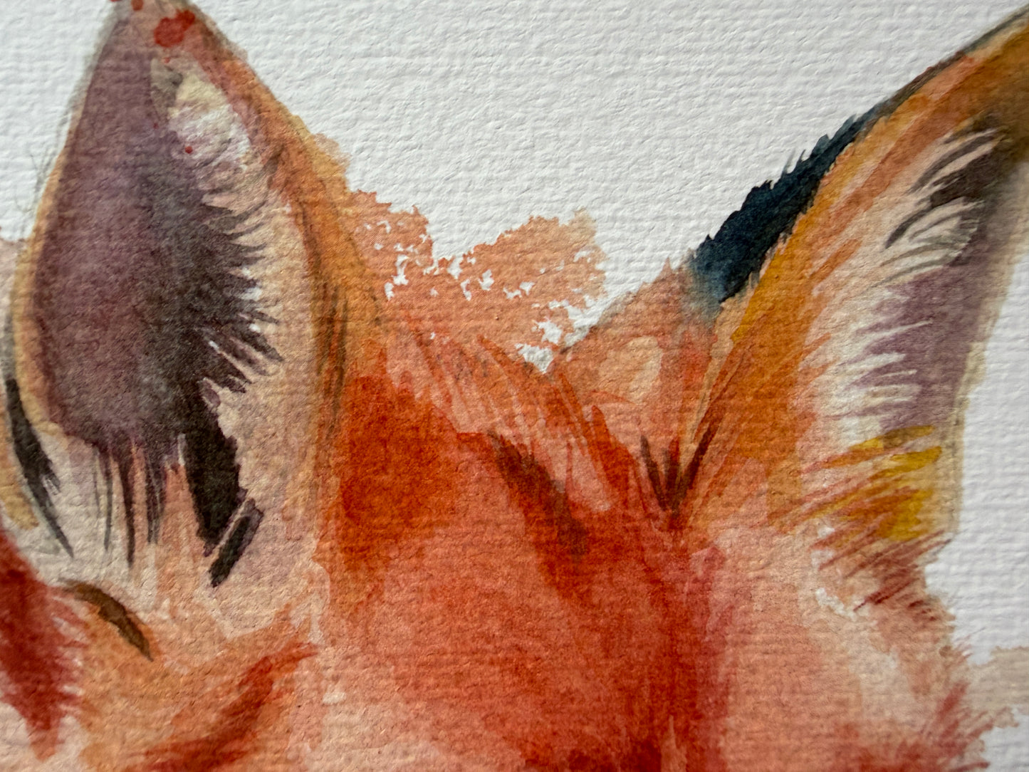An expressive watercolour print of a fox