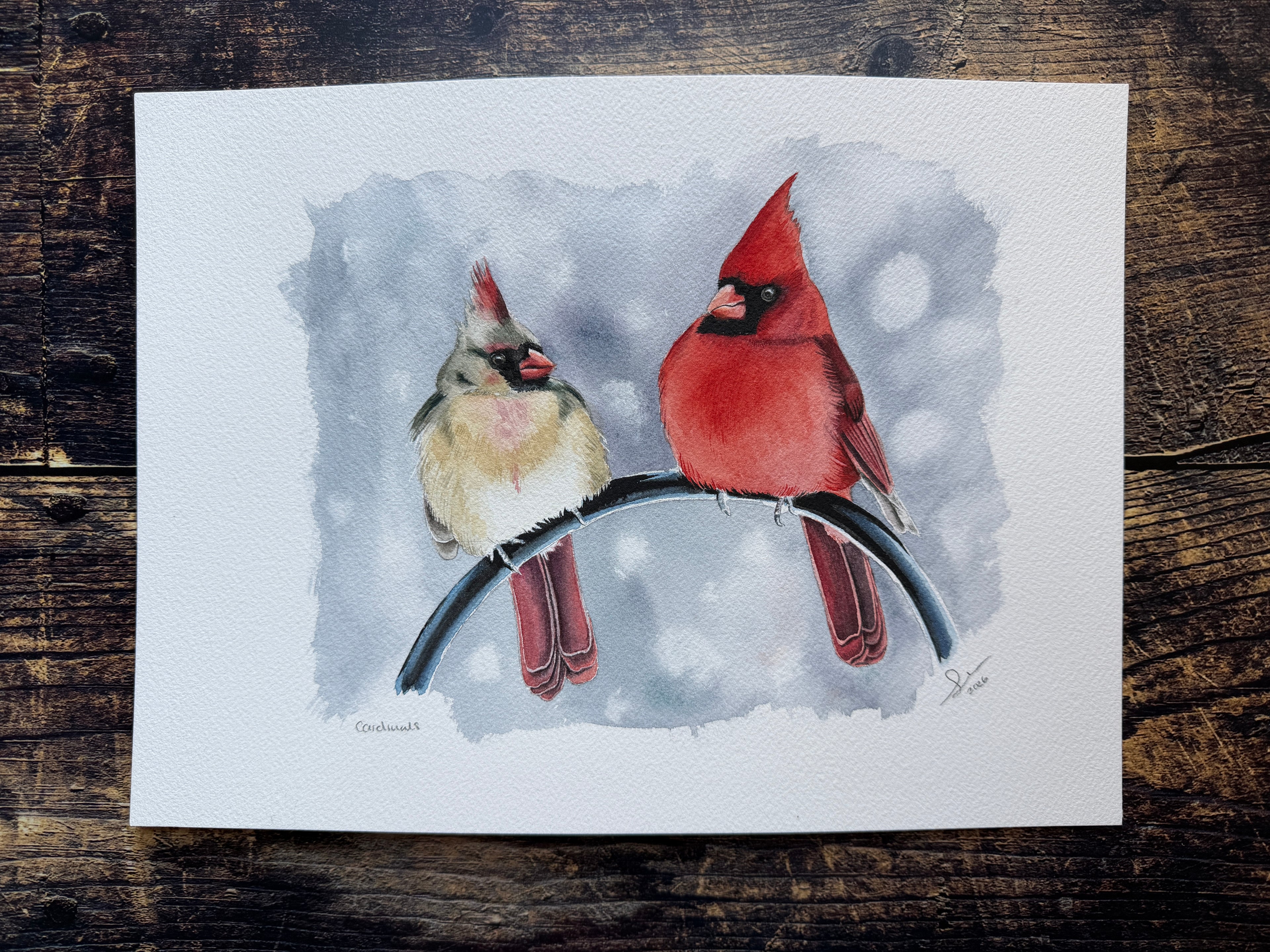 An original watercolour painting of a male & female cardinal