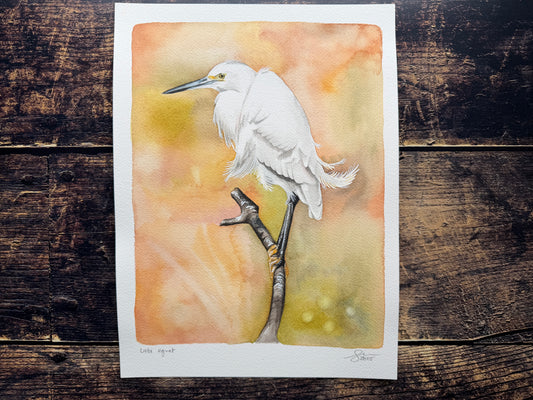 A watercolour painting of a little egret