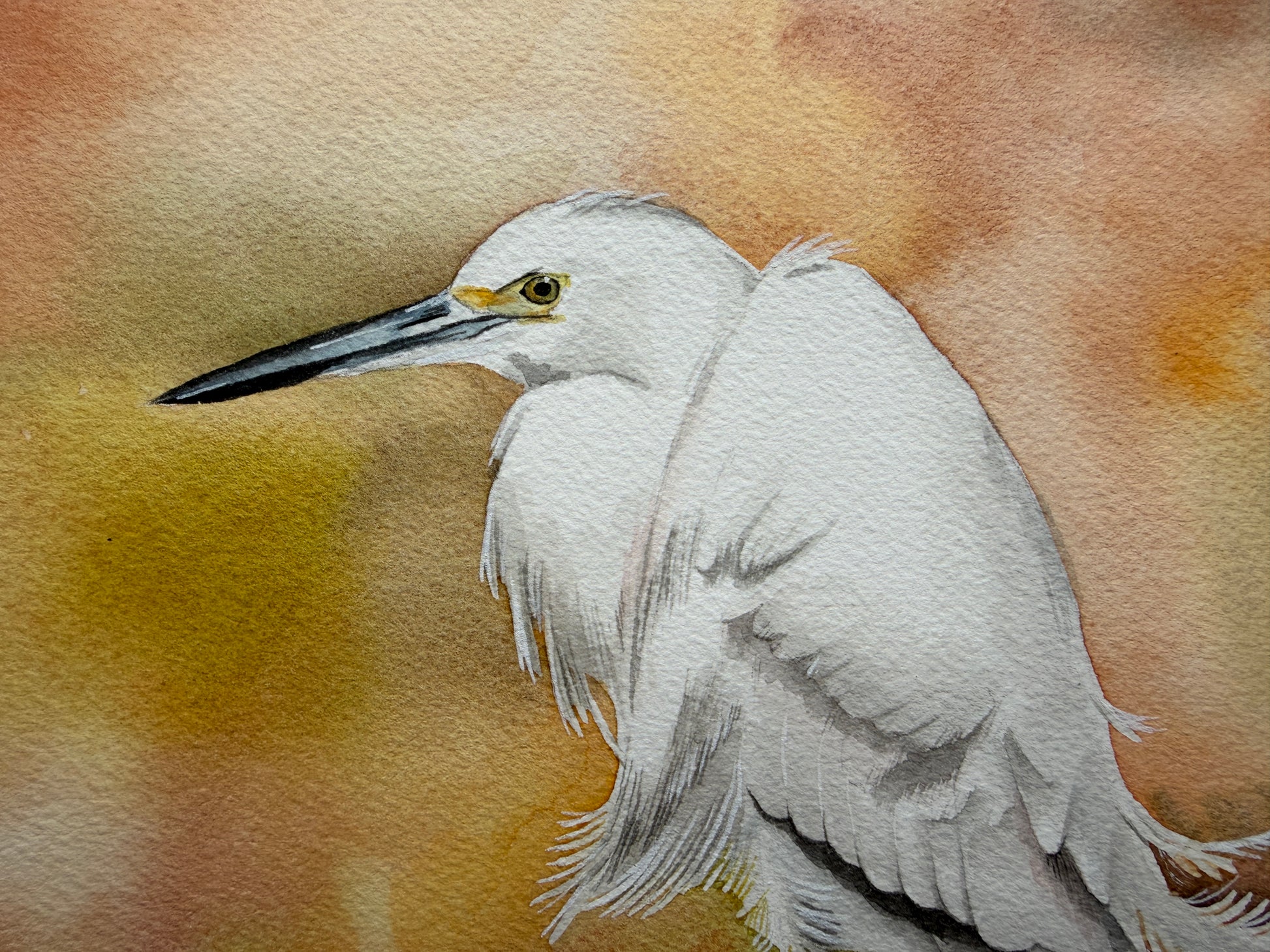 A watercolour painting of a little egret
