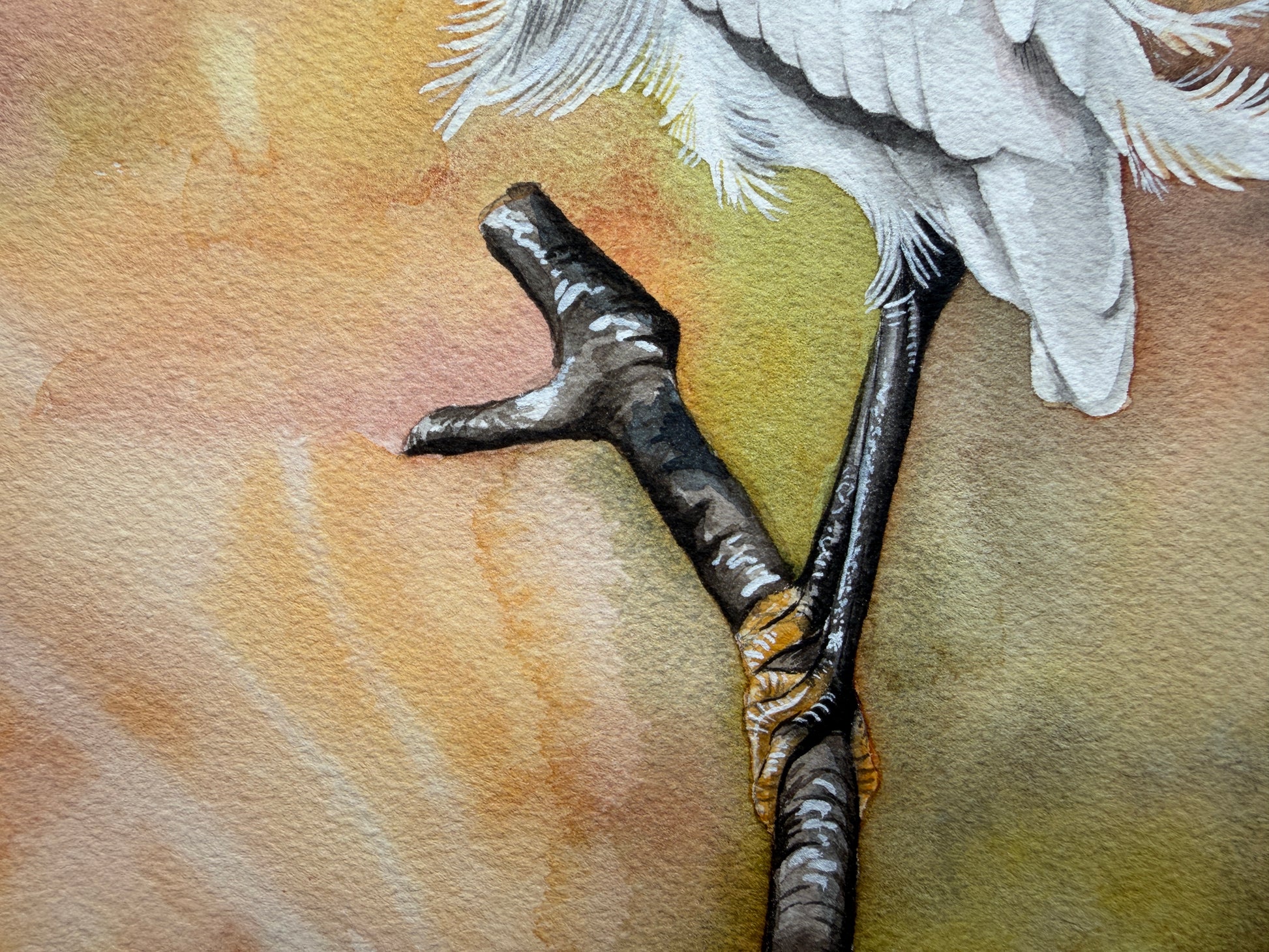 A watercolour painting of a little egret