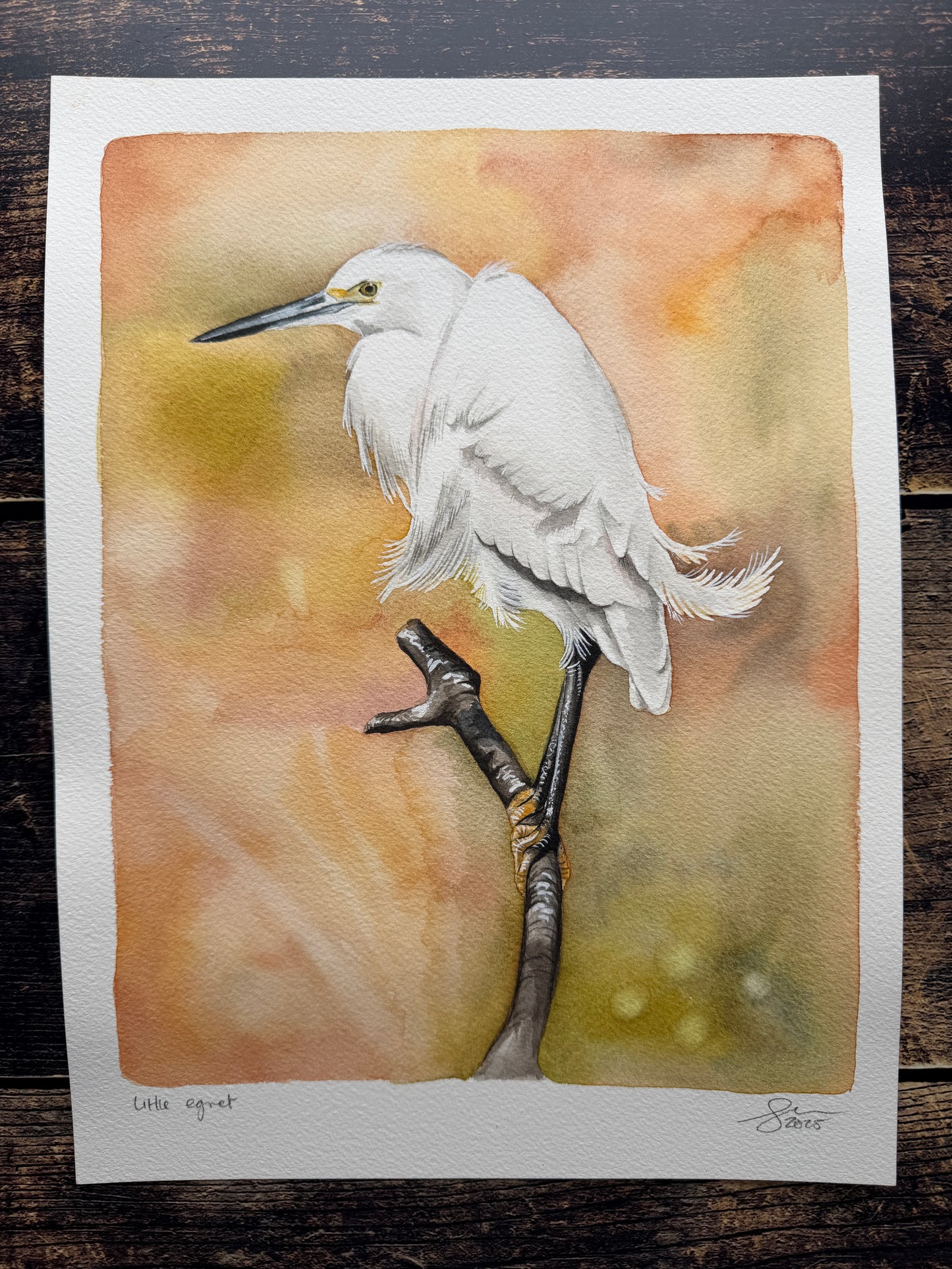 A watercolour painting of a little egret
