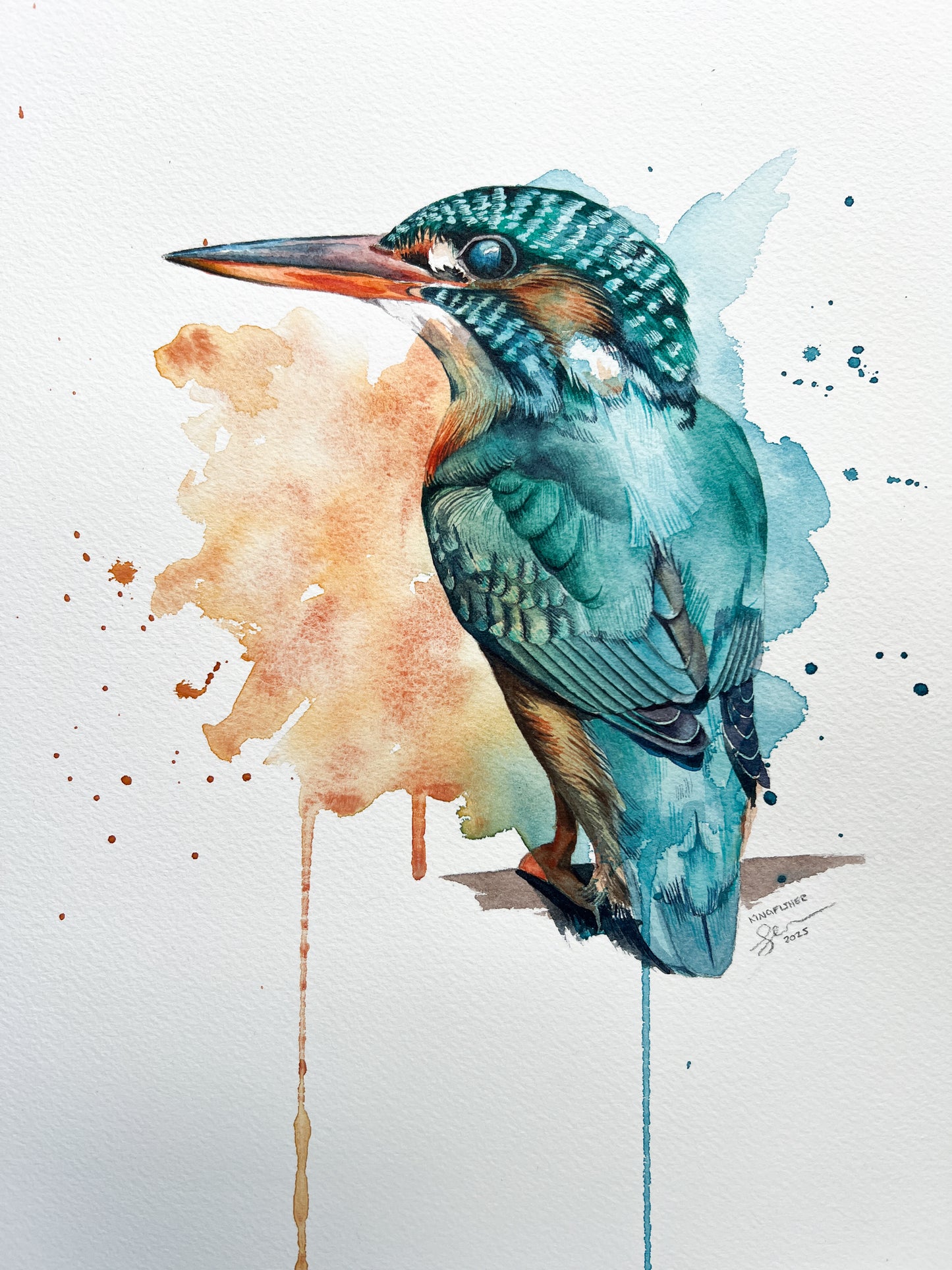 Colorful bird illustration with watercolor splashes on a white background