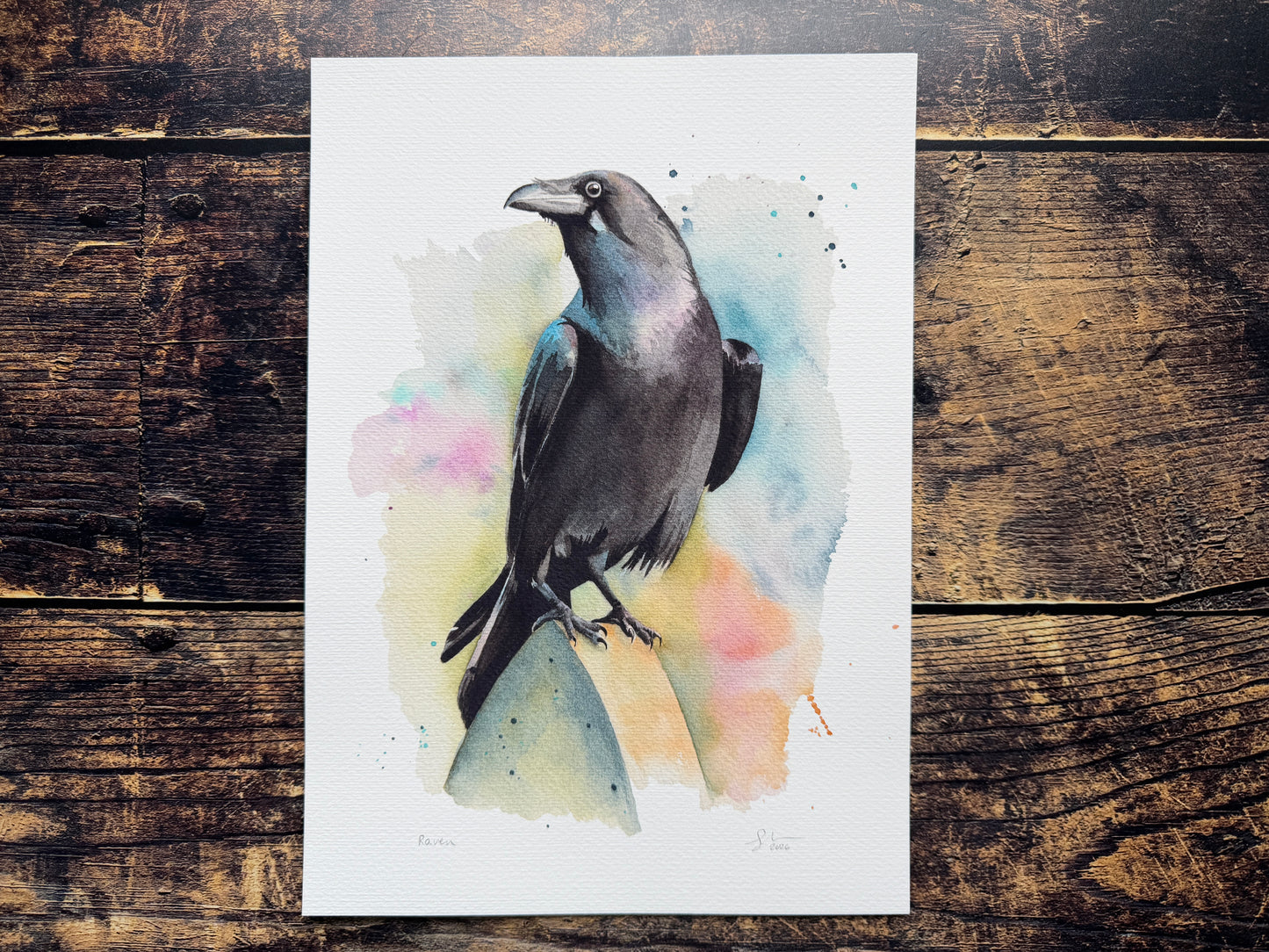 A watercolour print of a raven