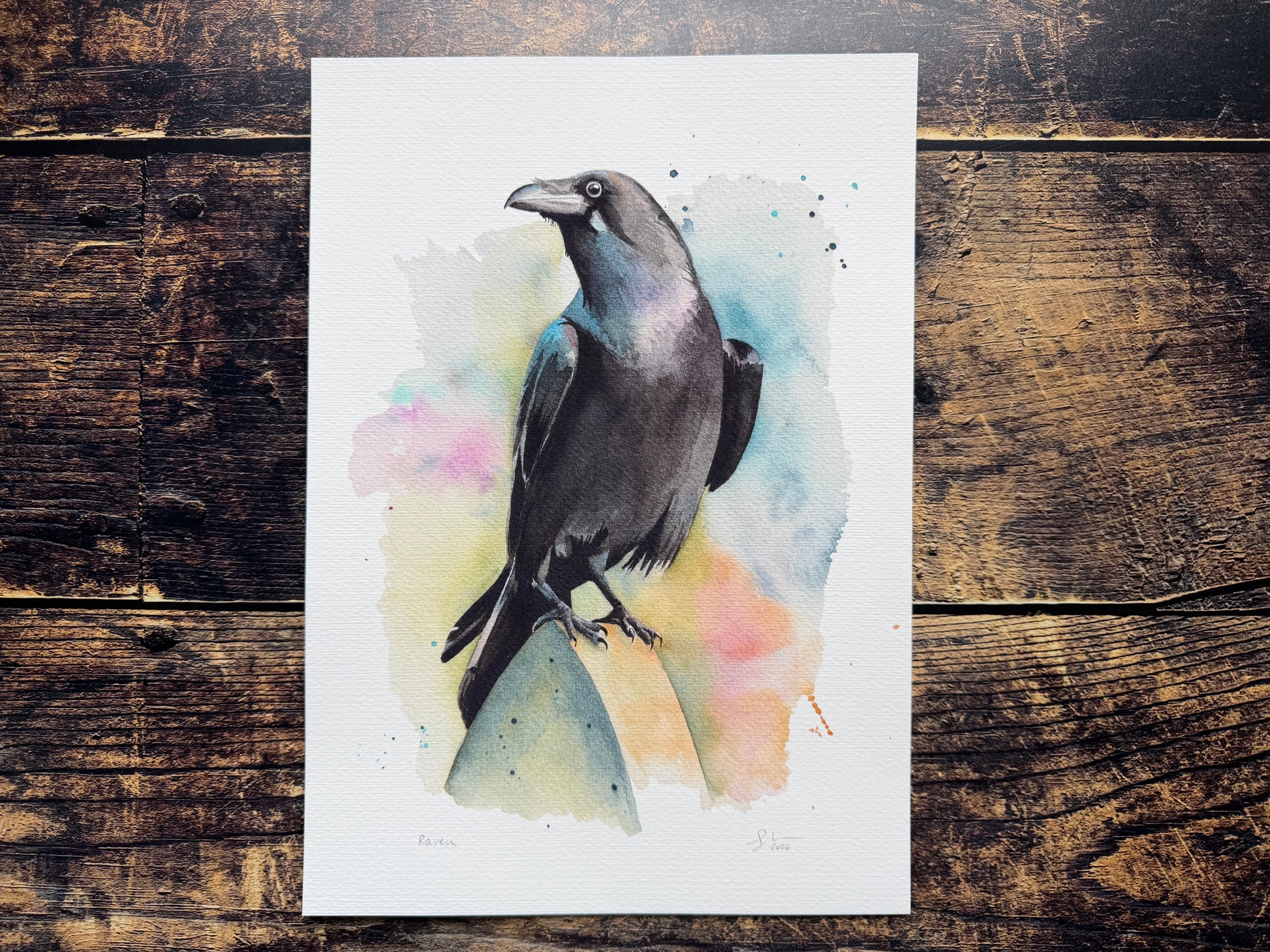 A watercolour print of a raven