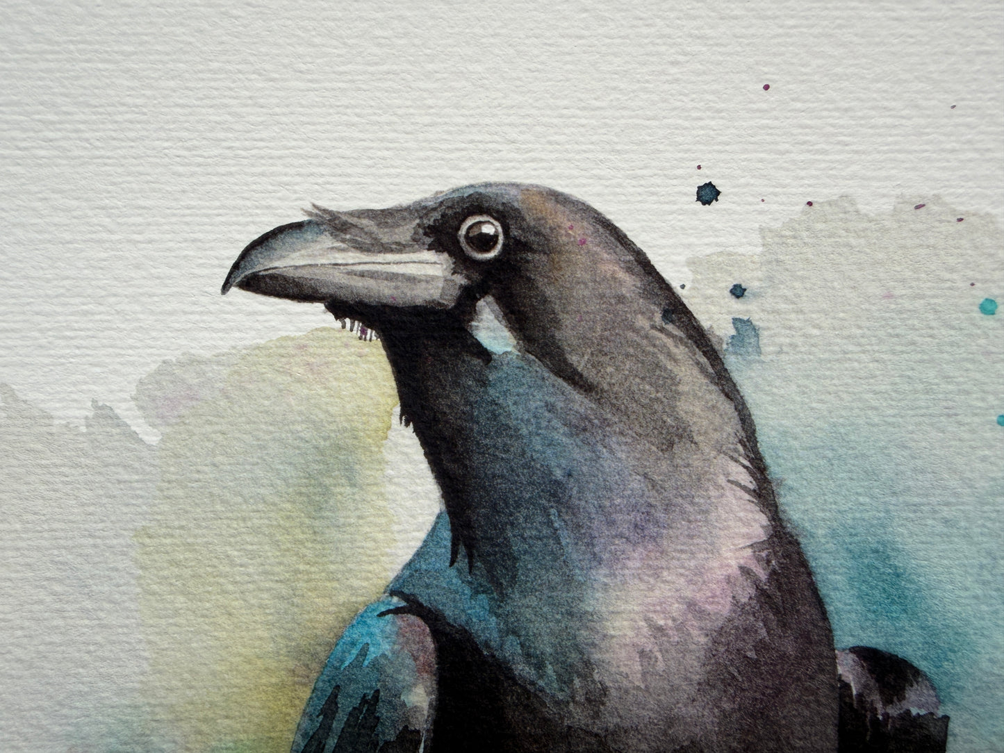 A watercolour print of a raven