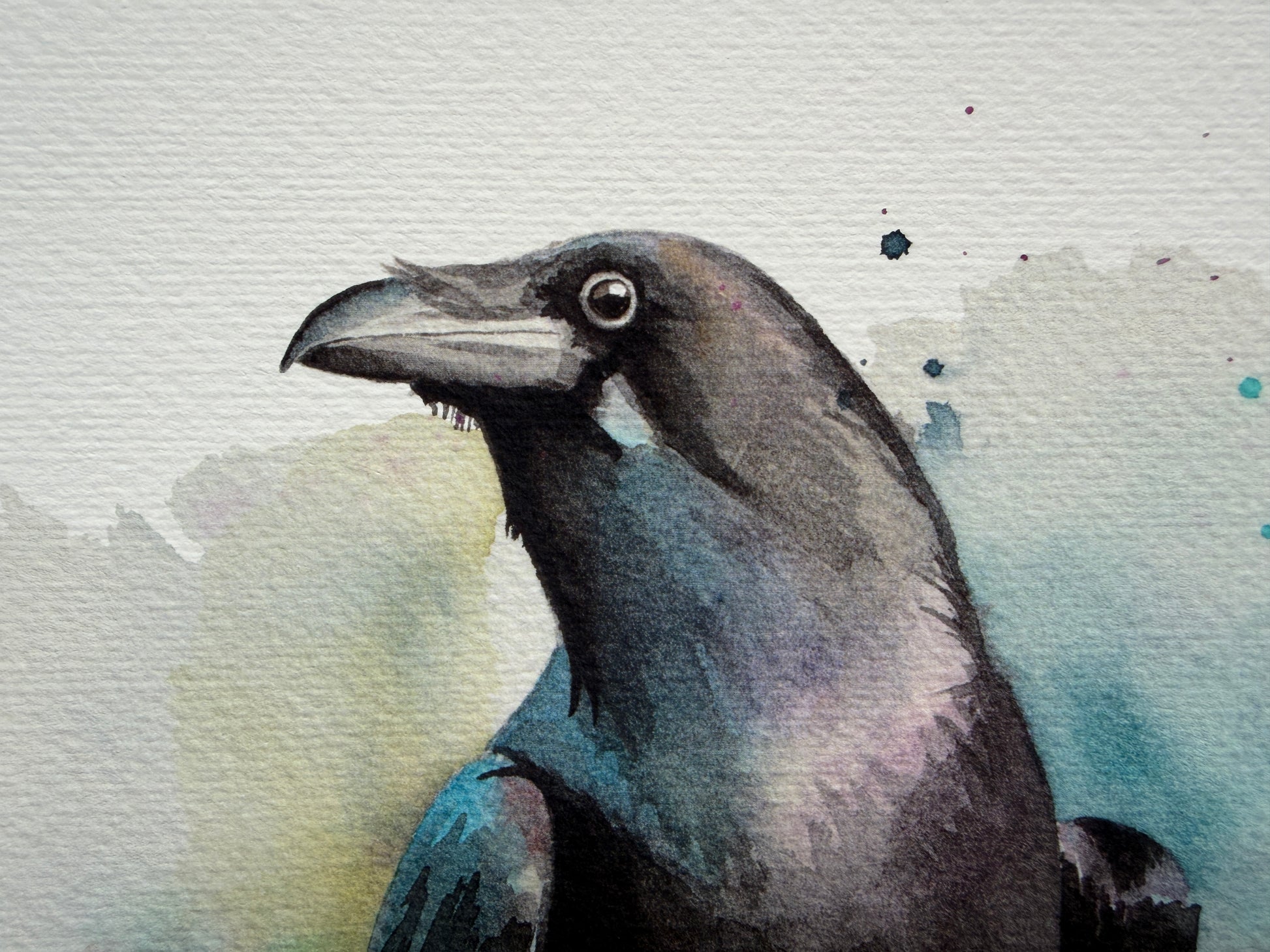 A watercolour print of a raven
