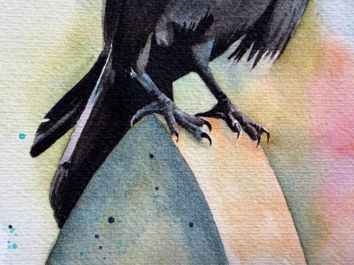 A watercolour print of a raven
