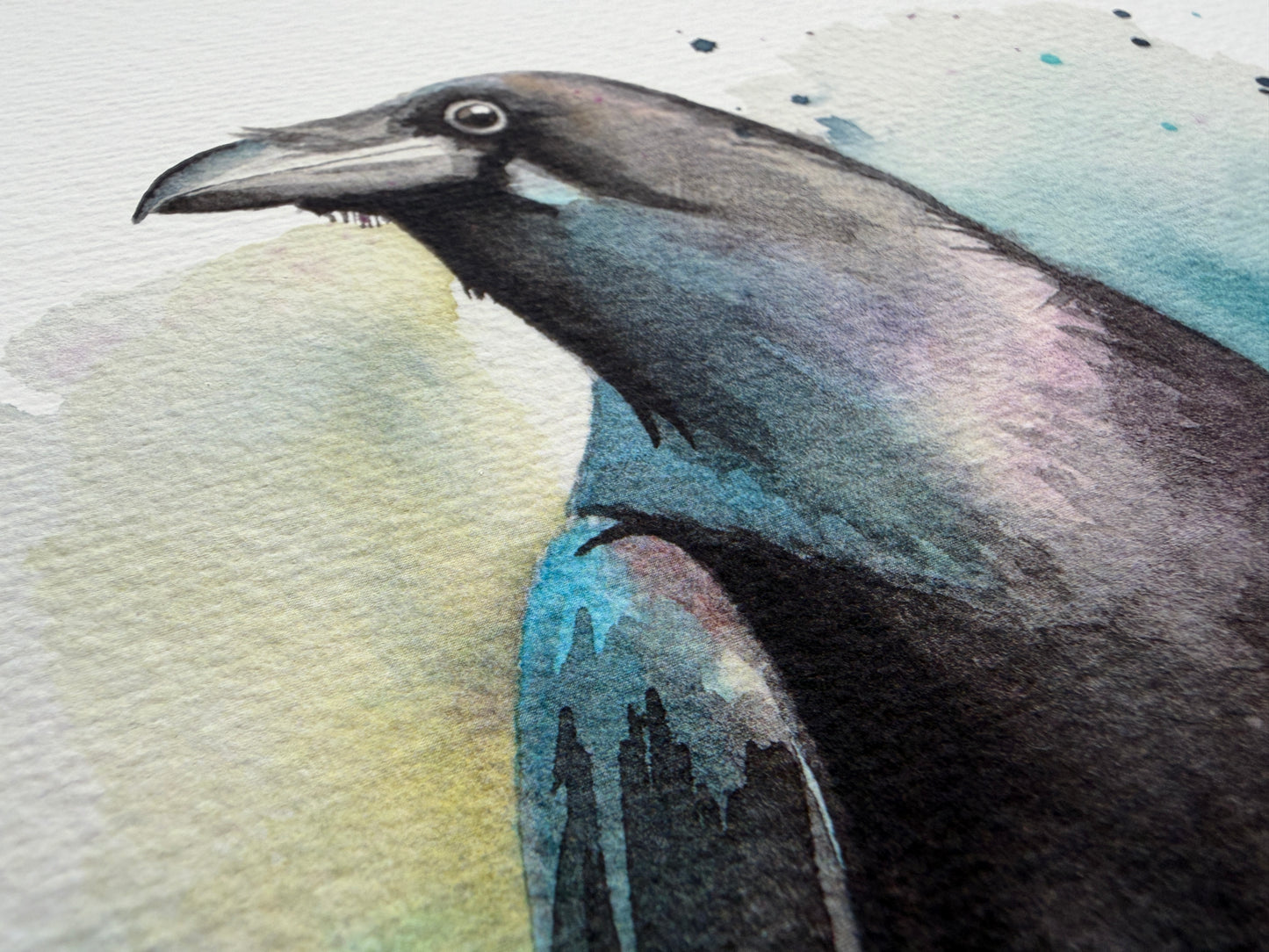 A watercolour print of a raven