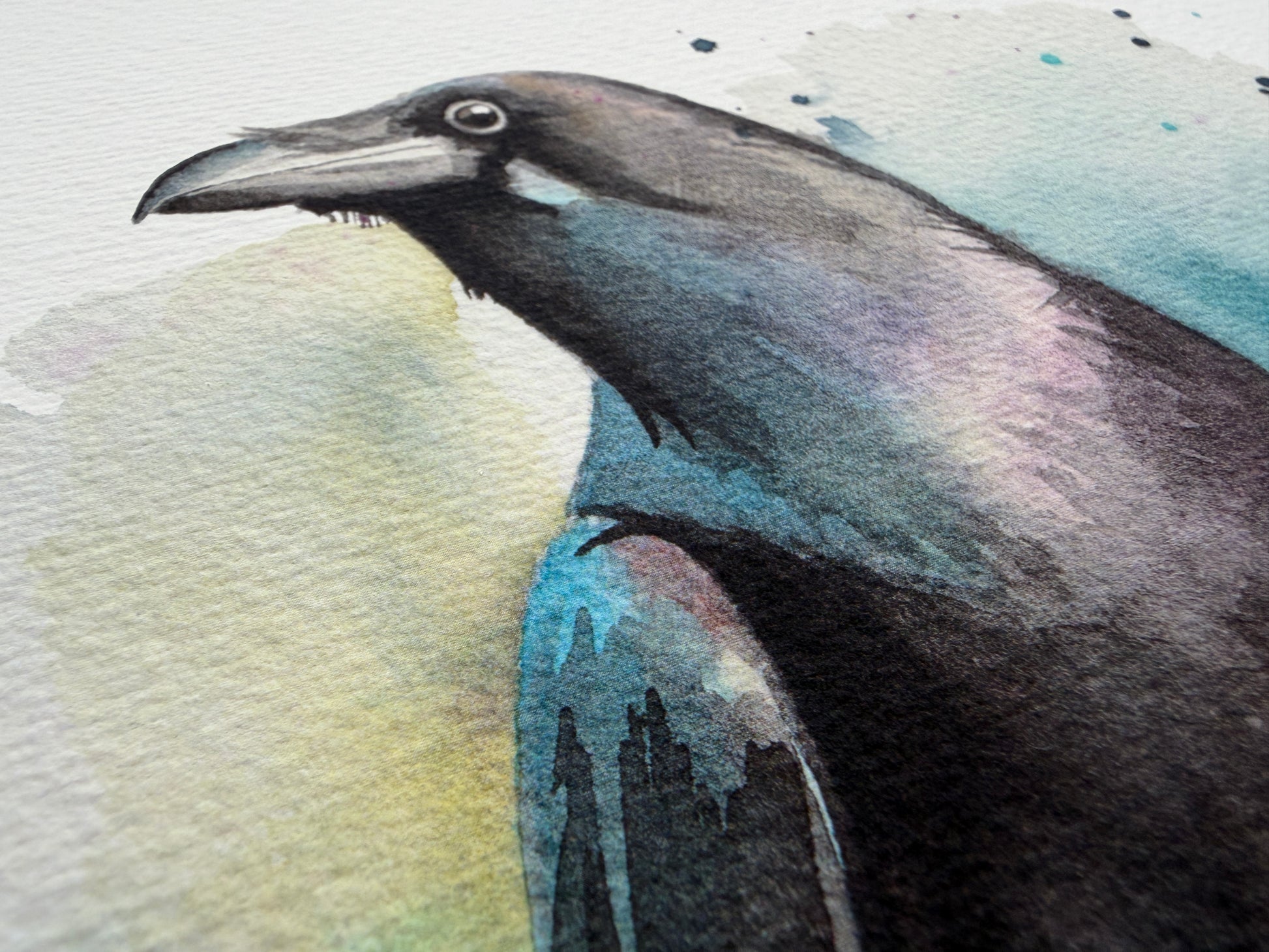 A watercolour print of a raven