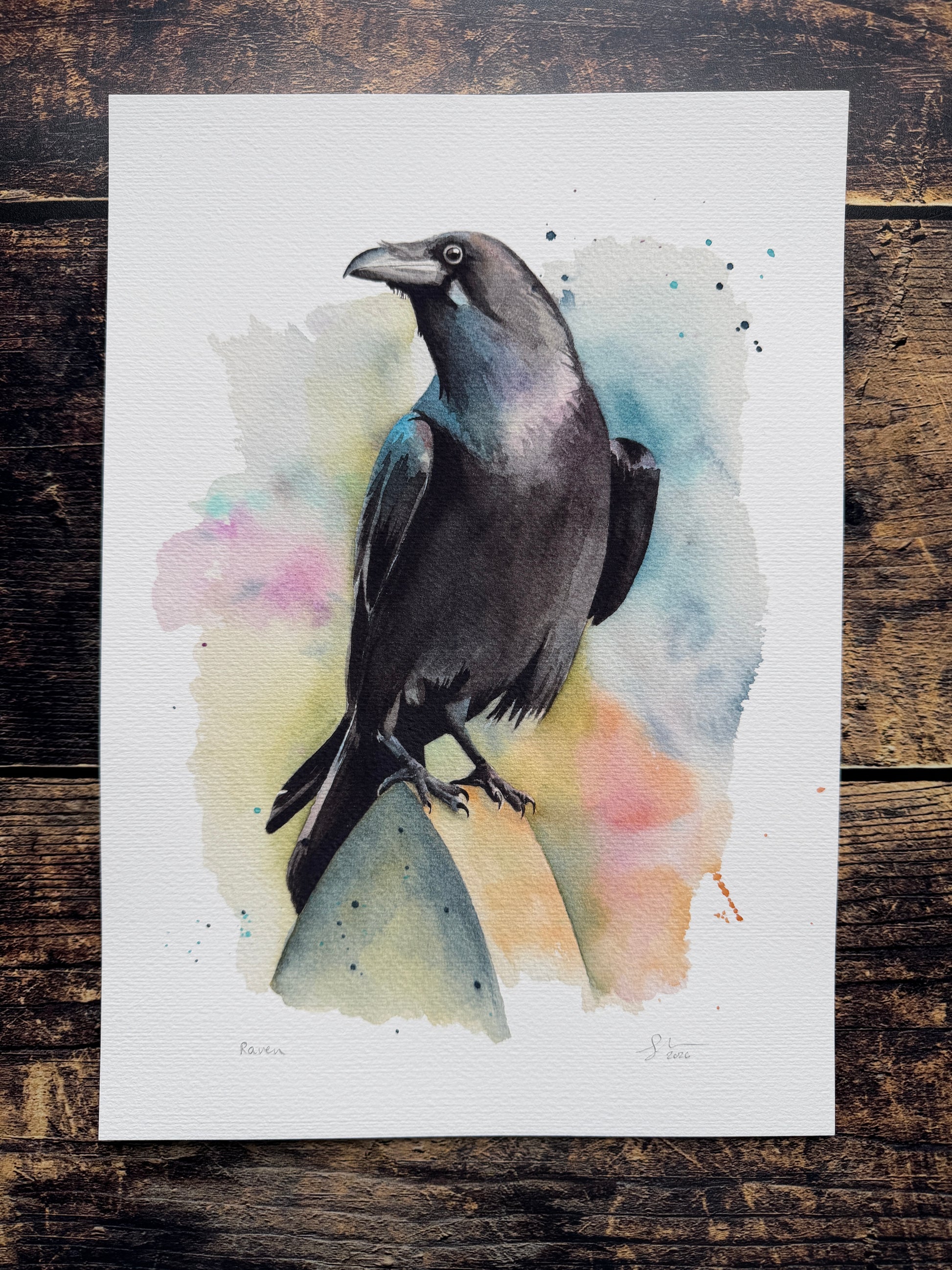 A watercolour print of a raven