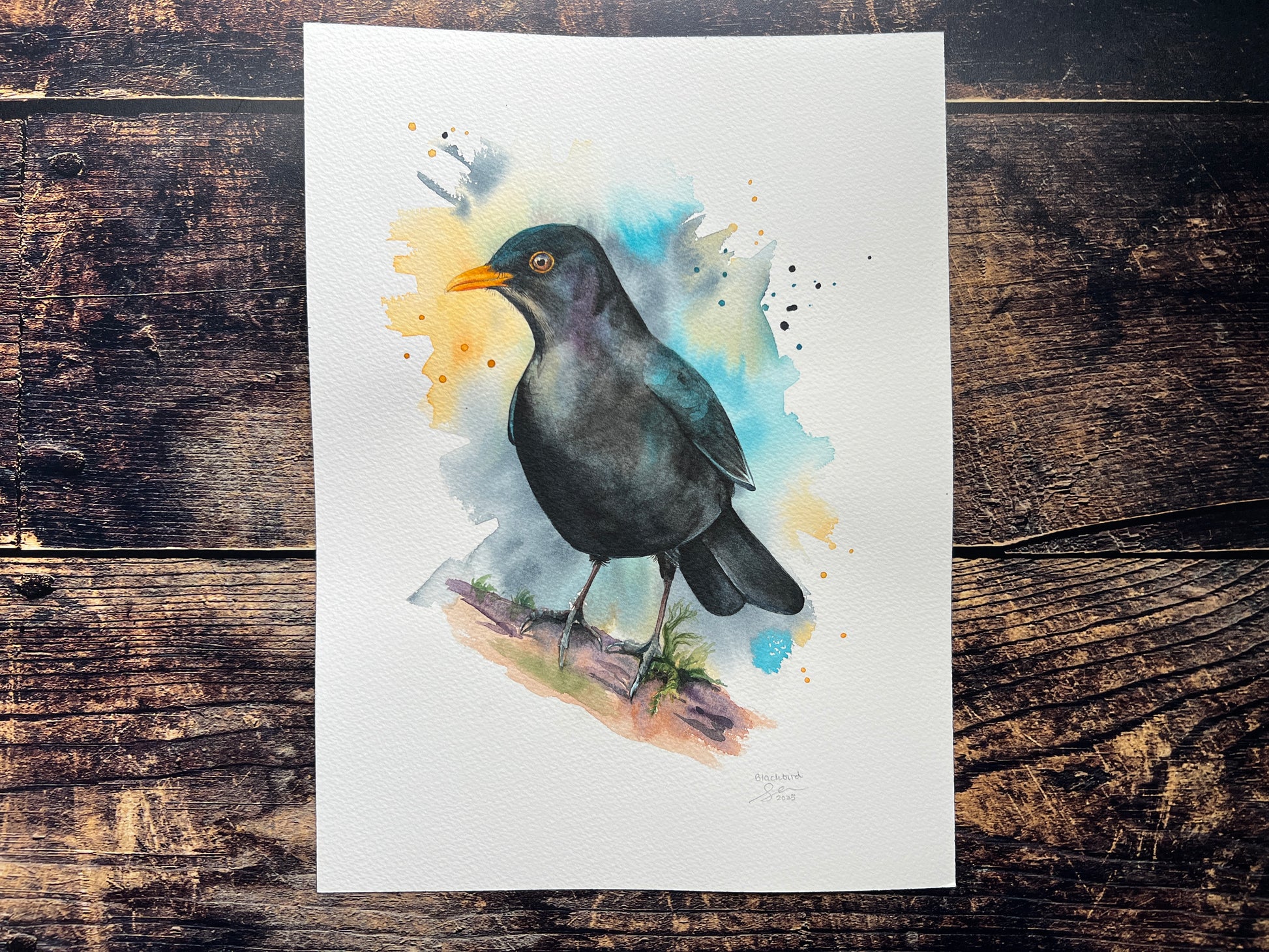 A watercolour painting of a male blackbird perched on a branch
