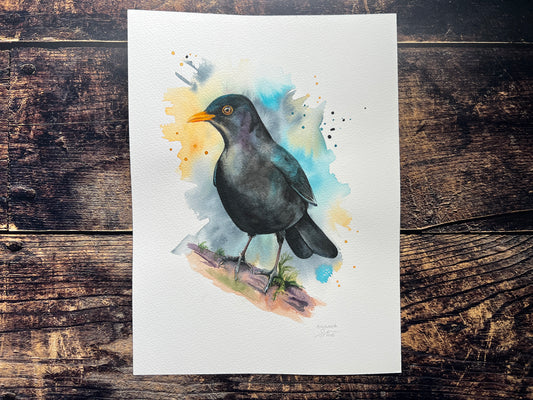 A watercolour painting of a male blackbird perched on a branch