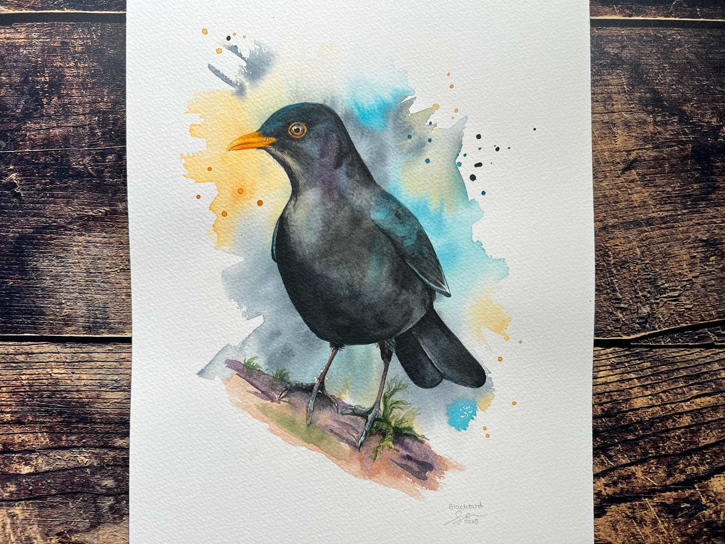 A watercolour painting of a male blackbird perched on a branch