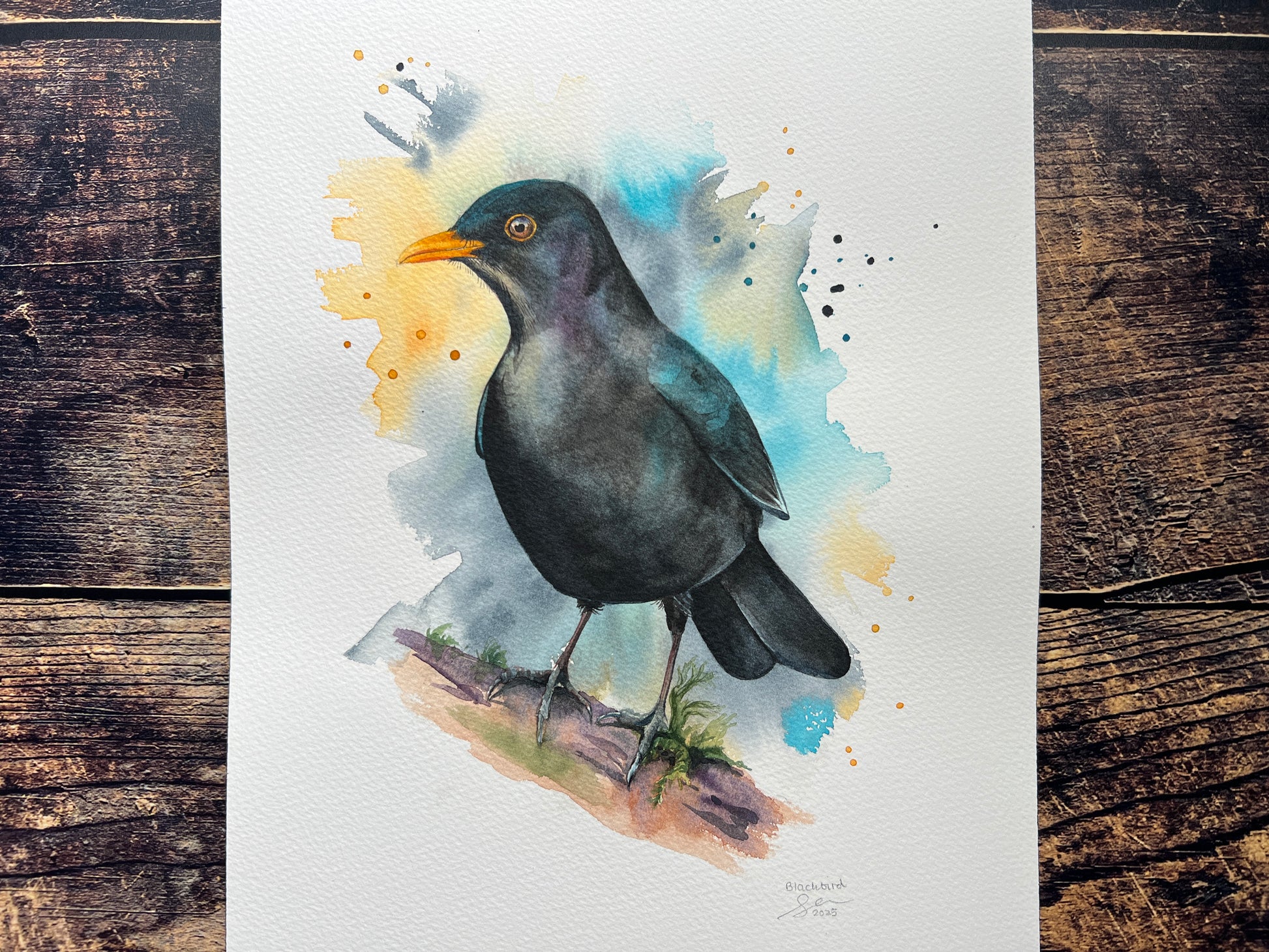 A watercolour painting of a male blackbird perched on a branch
