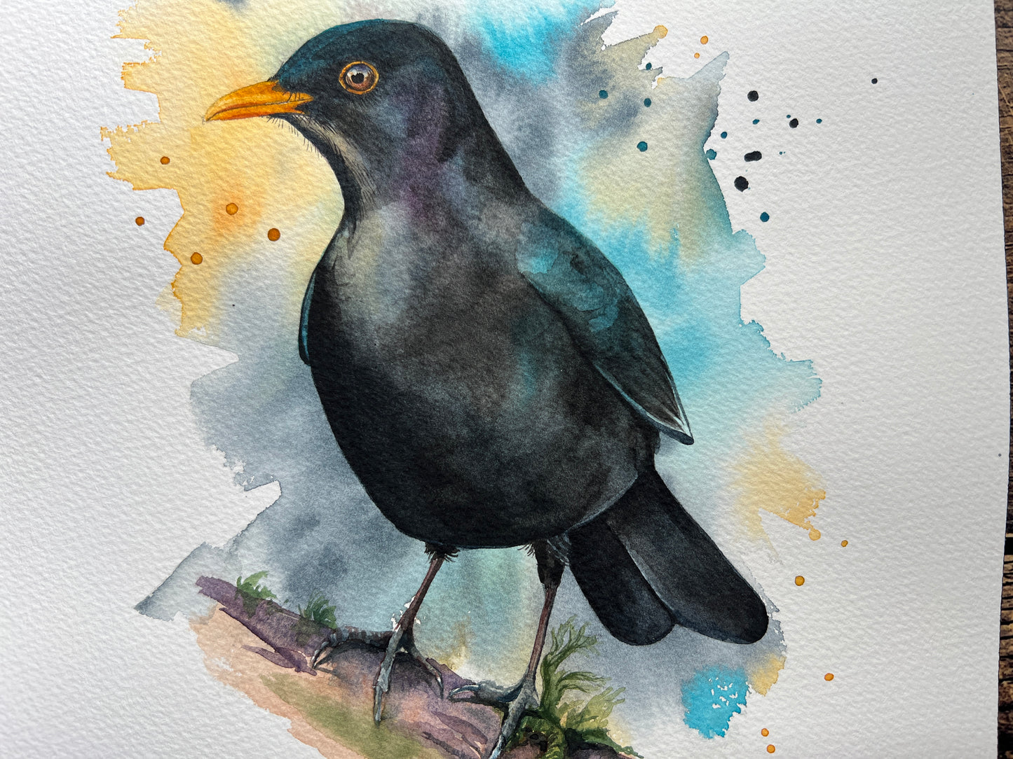 A watercolour painting of a male blackbird perched on a branch