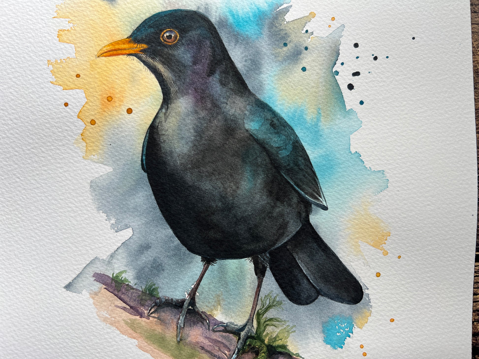 A watercolour painting of a male blackbird perched on a branch