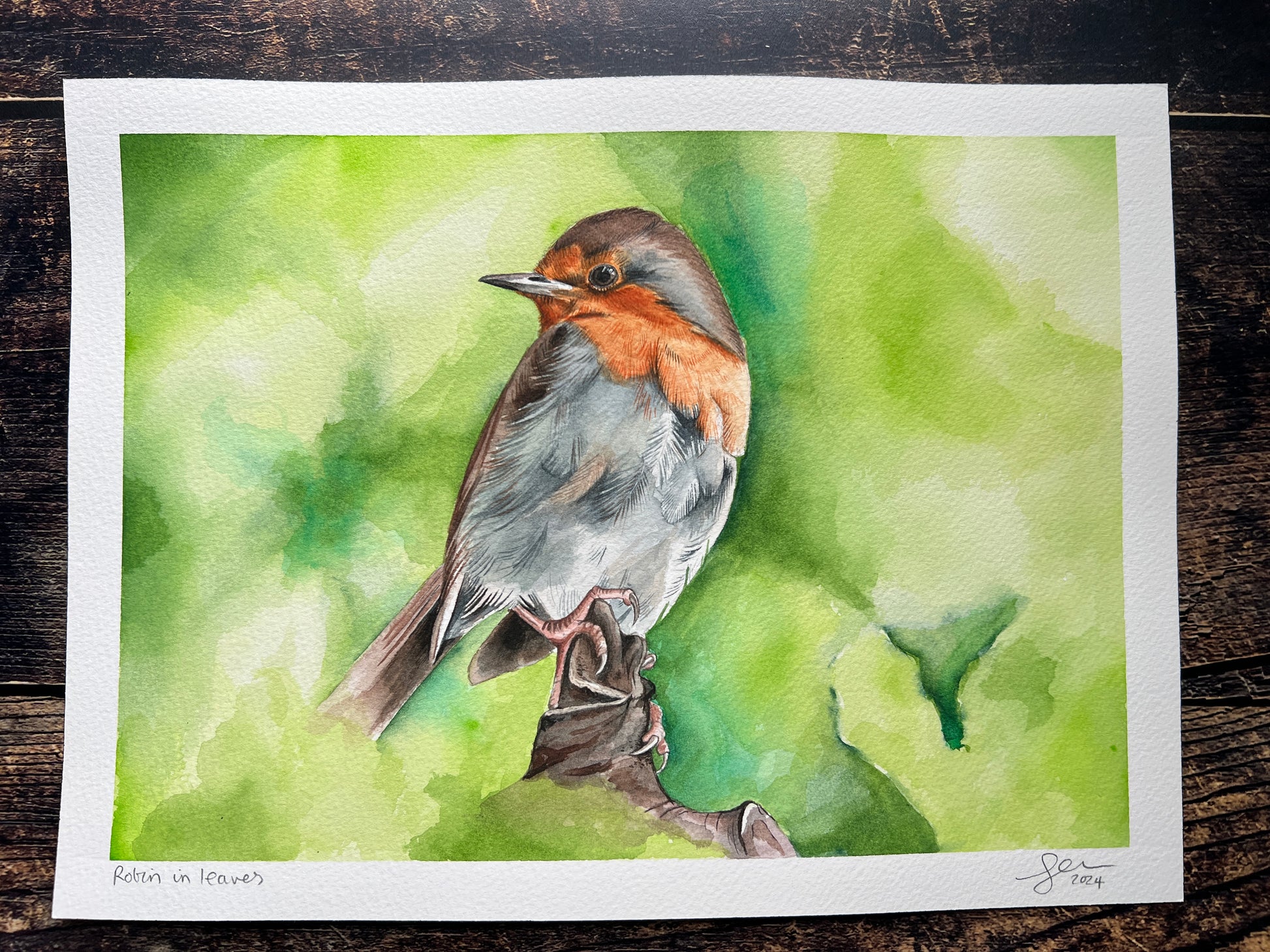 Watercolor painting of a robin on a green background