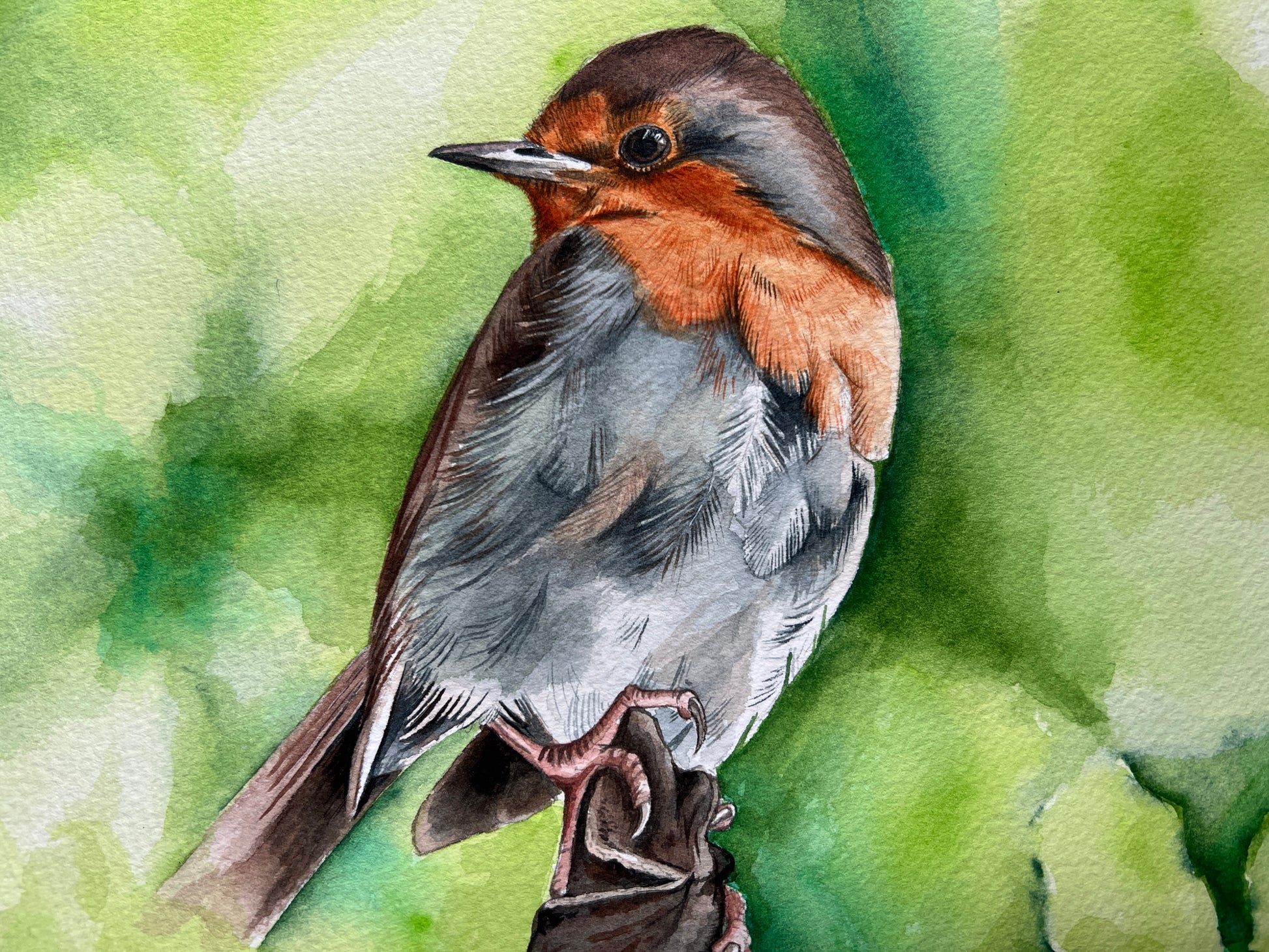 Artistic depiction of a bird with a watercolor background