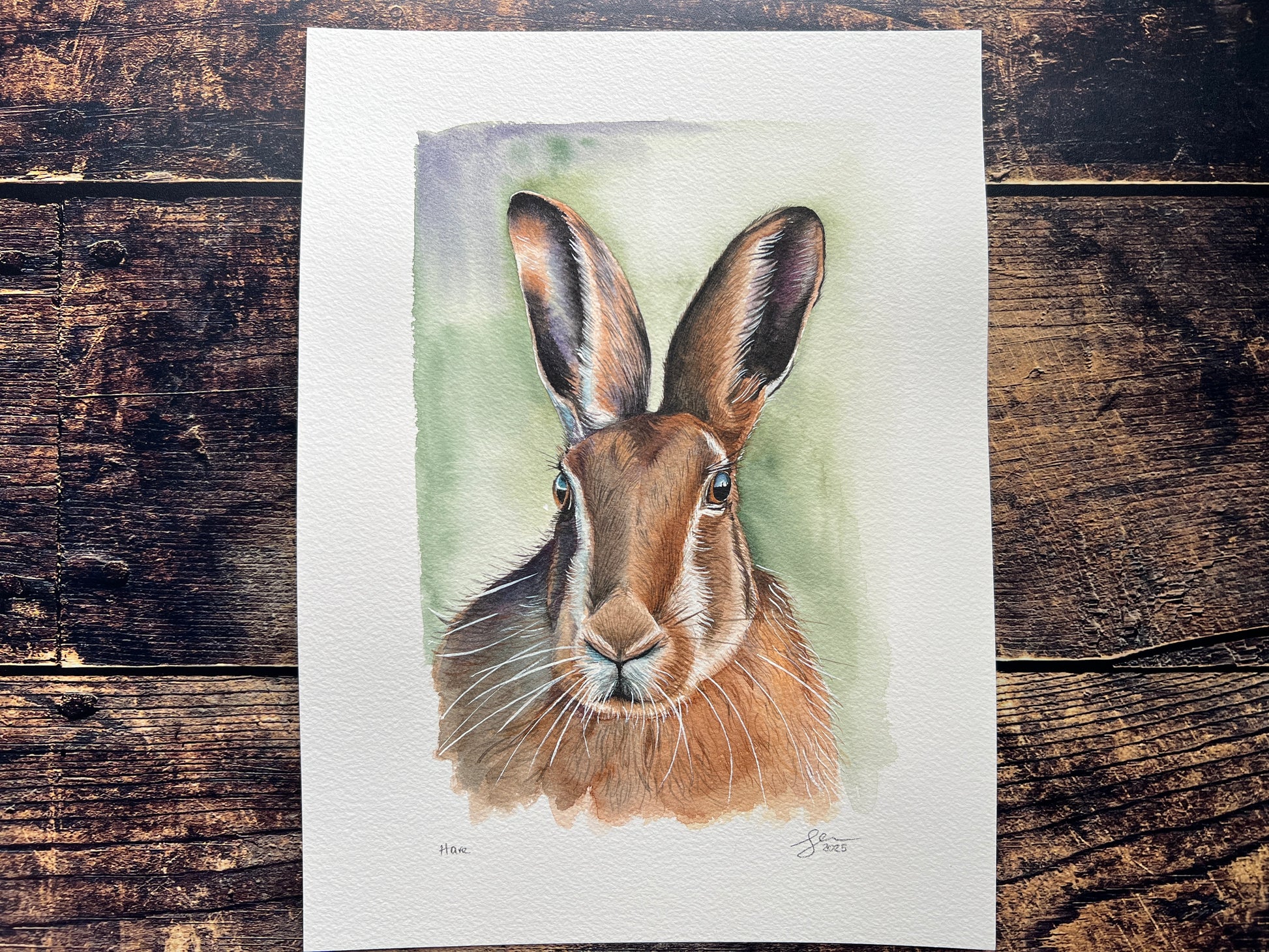 Watercolor painting of a hare on a wooden surface