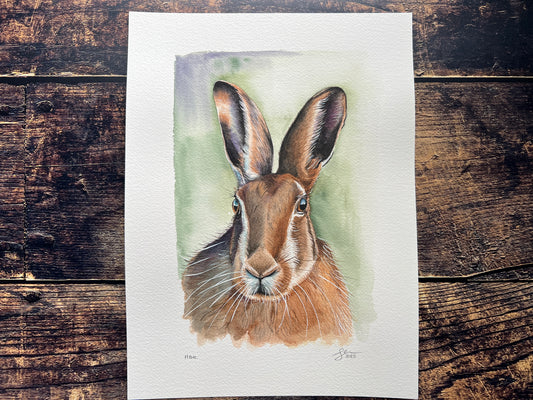 Watercolor painting of a hare on a wooden surface