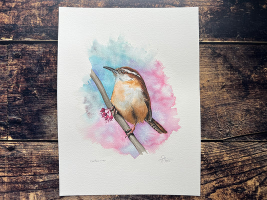 A watercolour painting of a Carolina Wren, perched on a branch with some blossom, surrounded by spring colours of pinks, purples and blue.