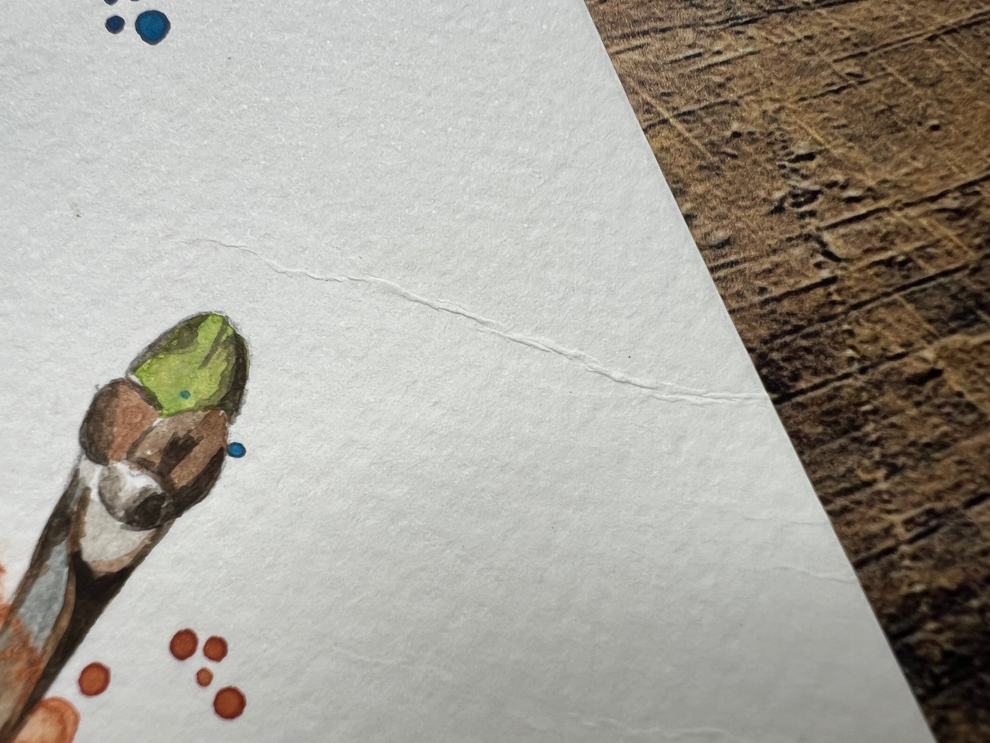 A close up of a crease in the watercolour paper