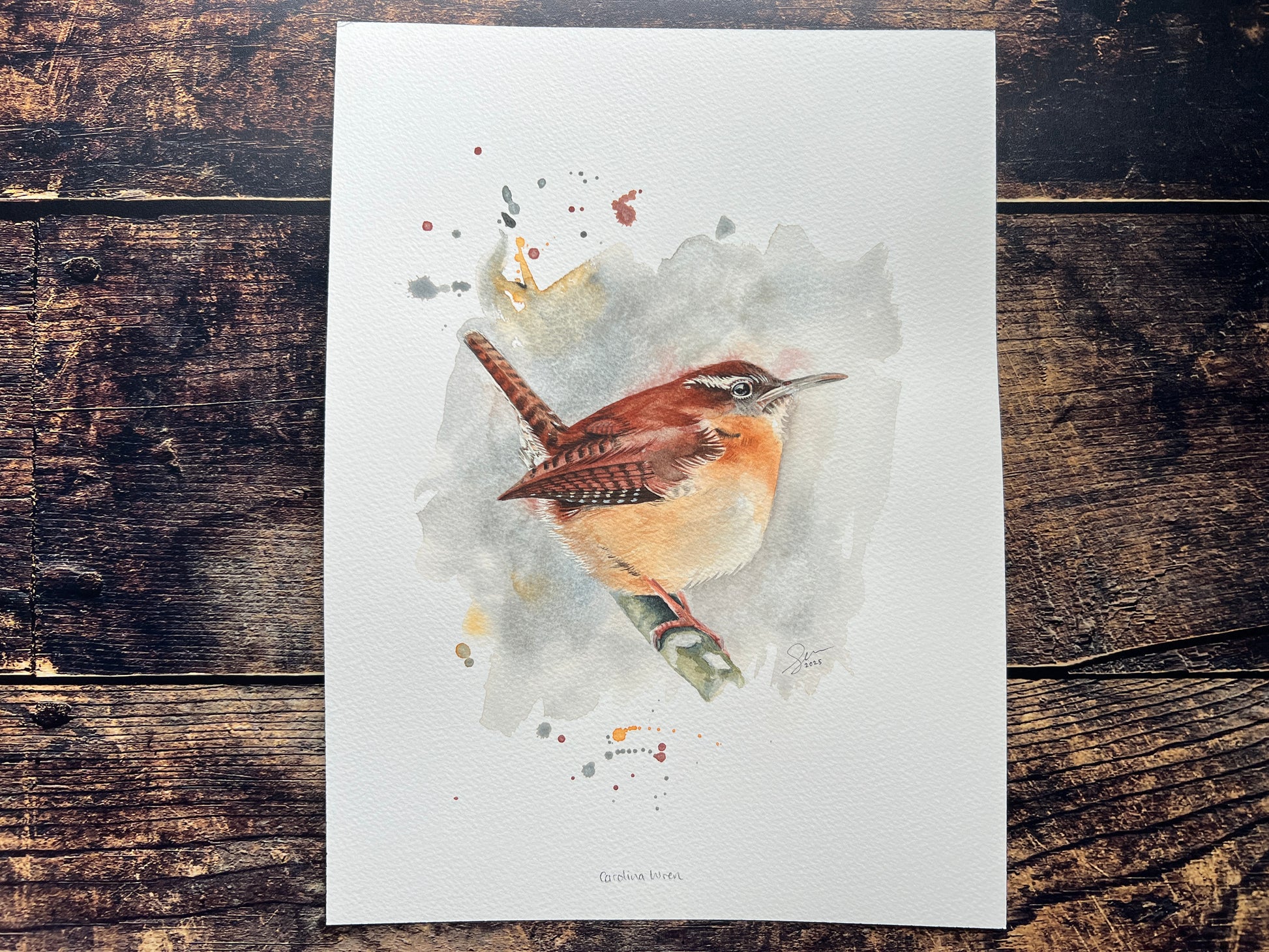 A watercolour painting of a carolina wren, with a cool wintery feel.