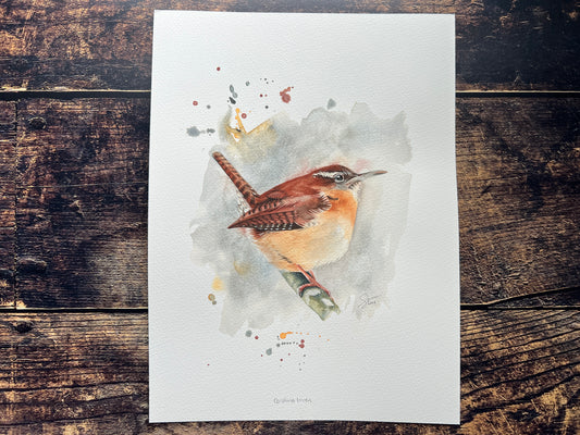 A watercolour painting of a carolina wren, with a cool wintery feel.