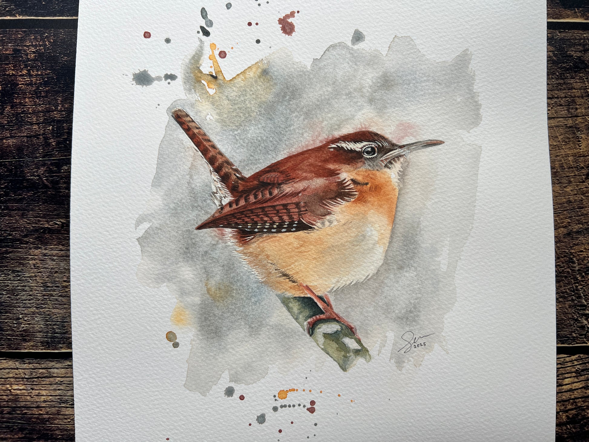 A watercolour painting of a carolina wren, with a cool wintery feel.