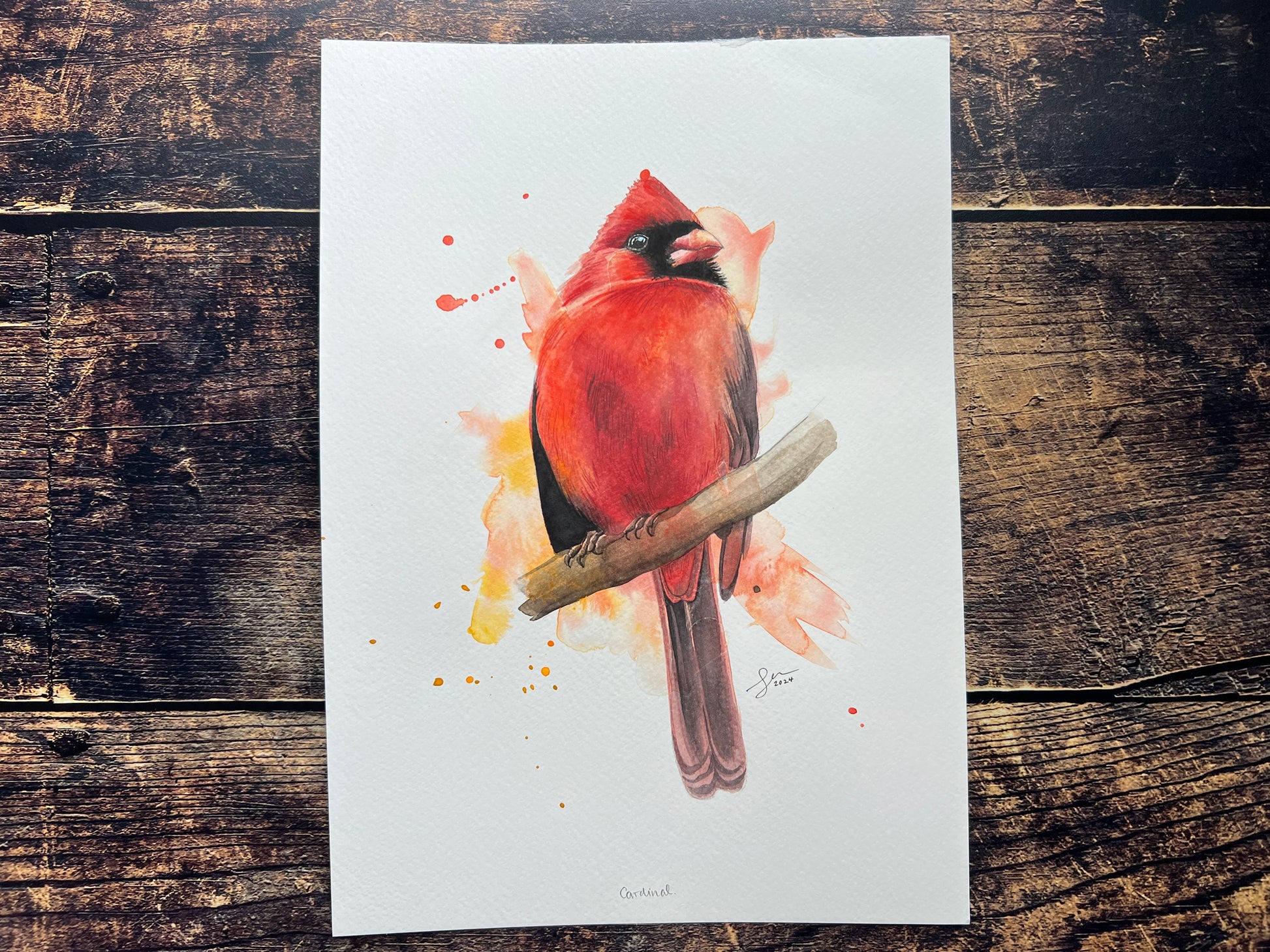 Male cardinal bird illustration on a white background with watercolor splashes, placed on a wooden surface.