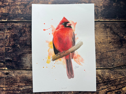 Male cardinal bird illustration on a white background with watercolor splashes, placed on a wooden surface.