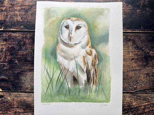 A watercolour painting of a barn owl stood in the grass