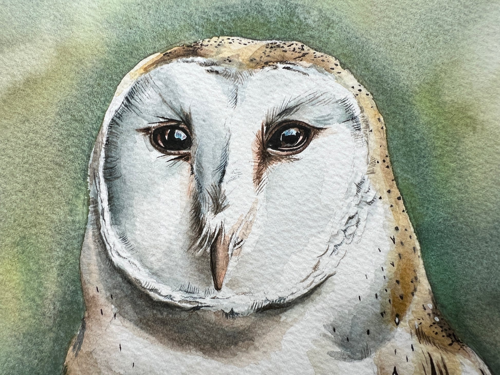A watercolour painting of a barn owl stood in the grass