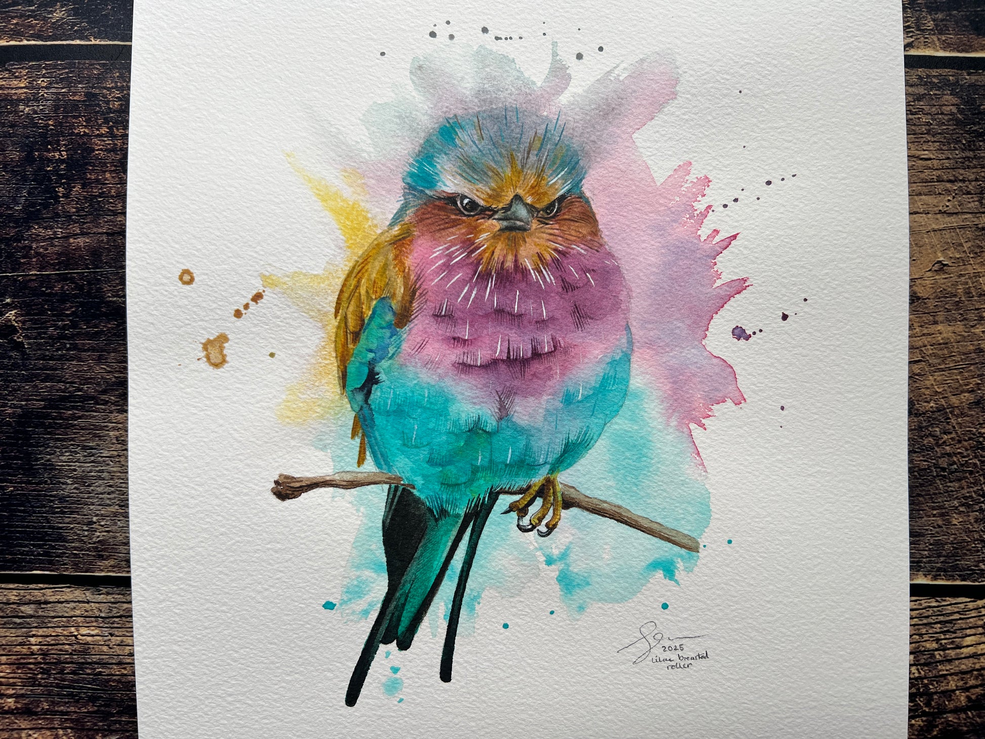 An expressive watercolour painting of a lilac breasted roller on a branch