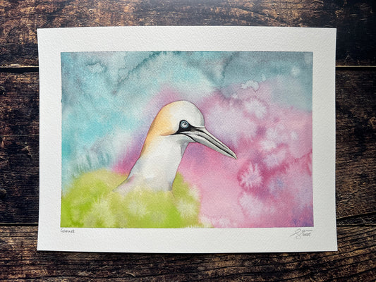A highly textured watercolour painting of a gannet, surrounded by spring colours (pink, blue, green).