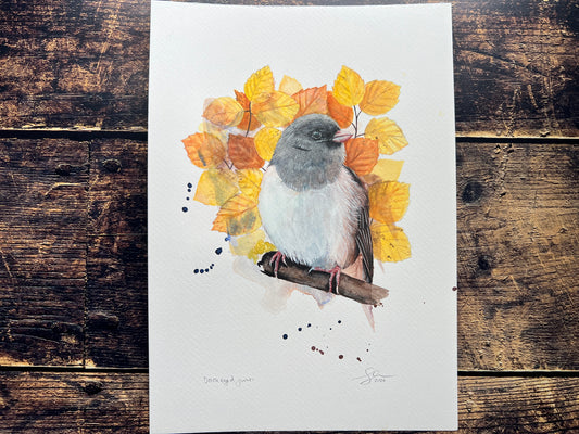 A watercolour painting of a dark-eyed junco, surrounded by a bloom of Autumn leaves