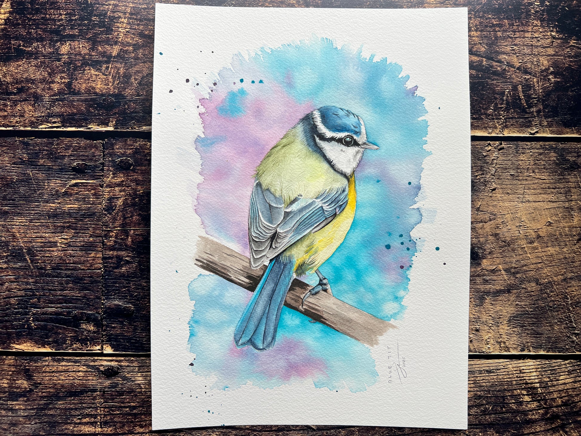 A watercolour painting of a blue tit, surrounded by an explosion of spring colours