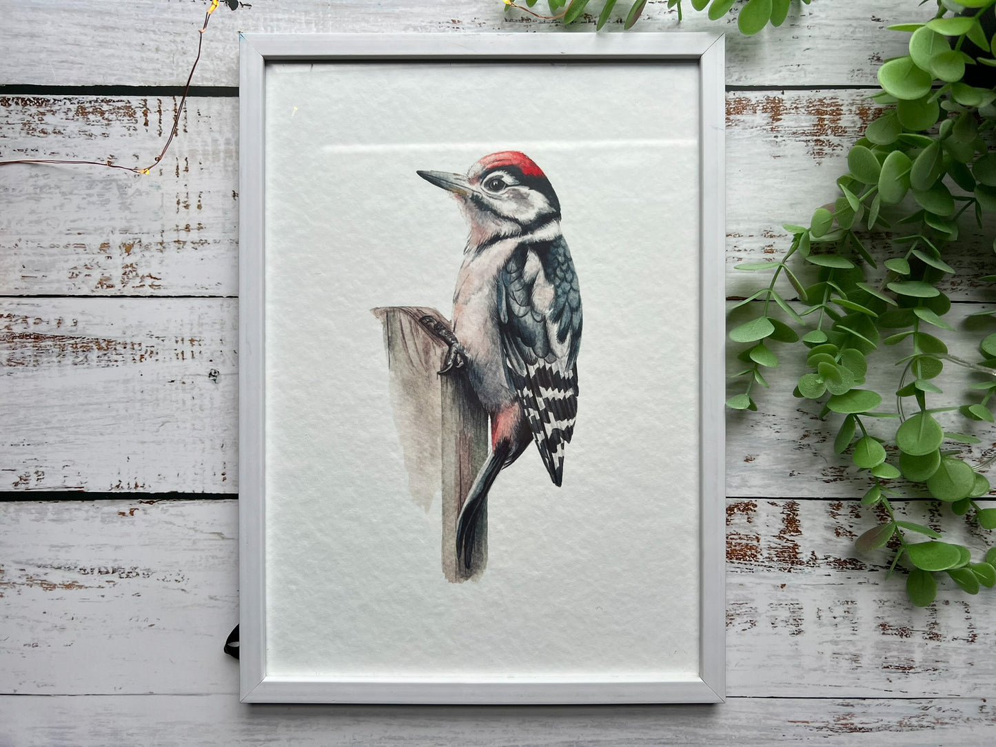A watercolour print of a great spotted woodpecker