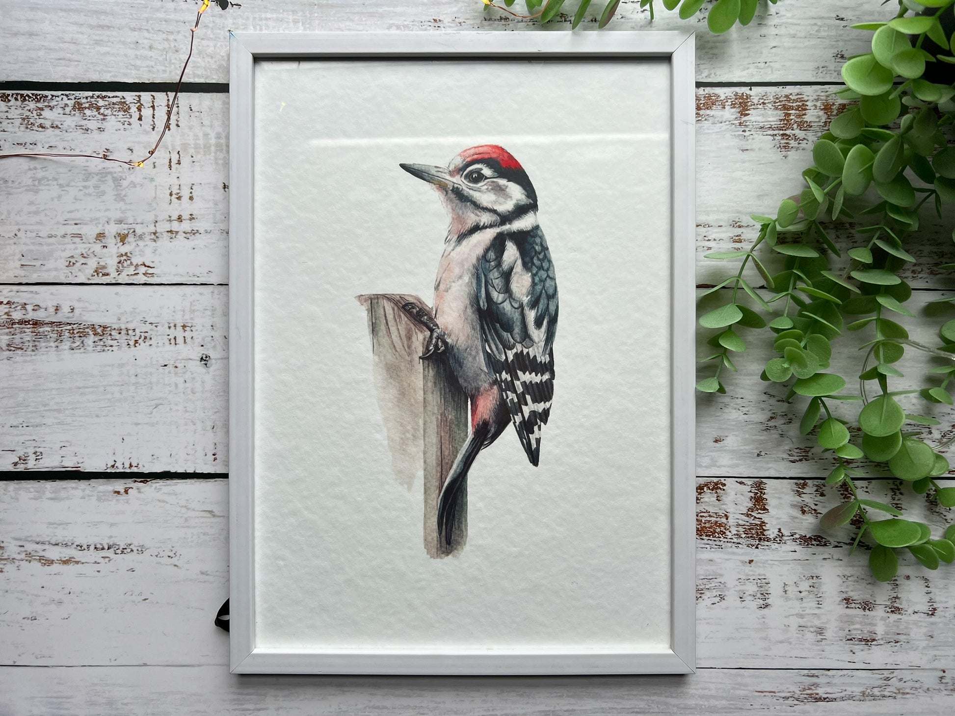 A watercolour print of a great spotted woodpecker