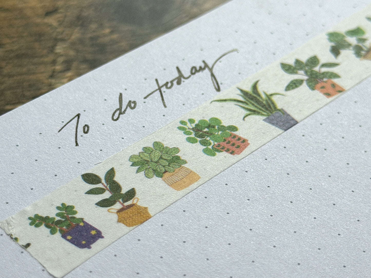 Washi tape close up featuring digitally drawn house plants