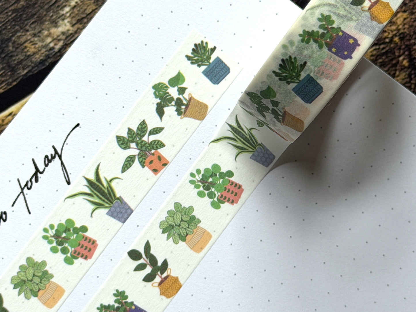 Washi tape close up featuring digitally drawn house plants