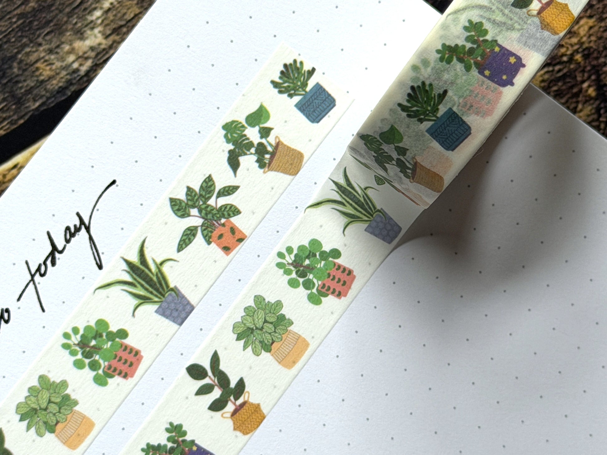 Washi tape close up featuring digitally drawn house plants