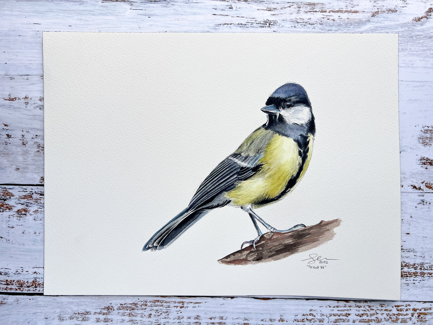 An original watercolour painting of a great tit