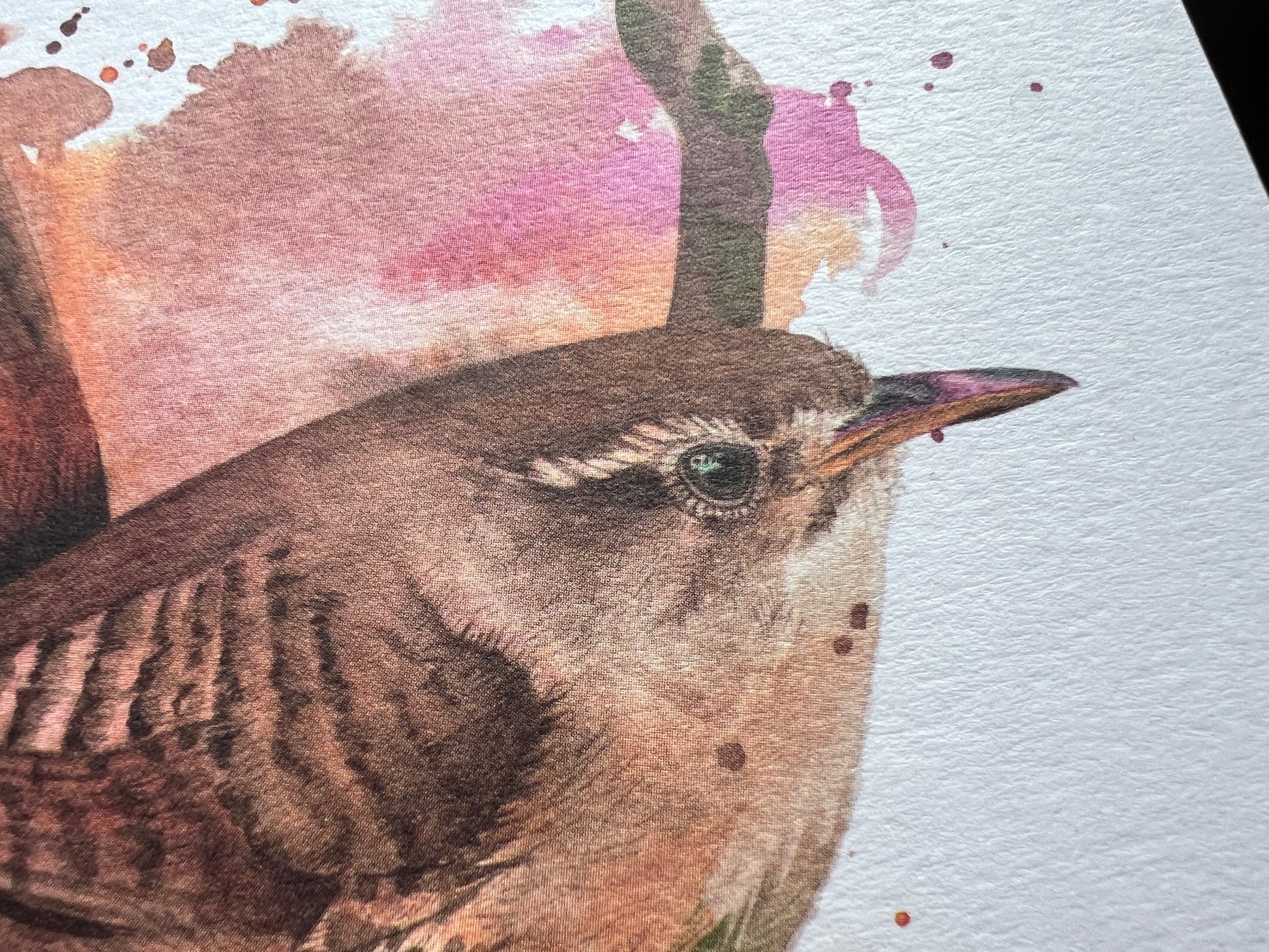 Close-up of a detailed bird illustration with watercolor splashes in the background